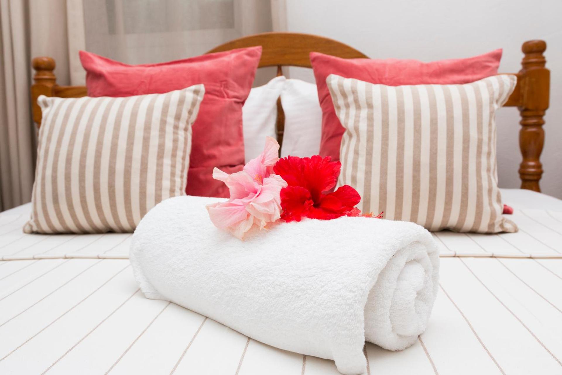 Le Manglier - Photo 33