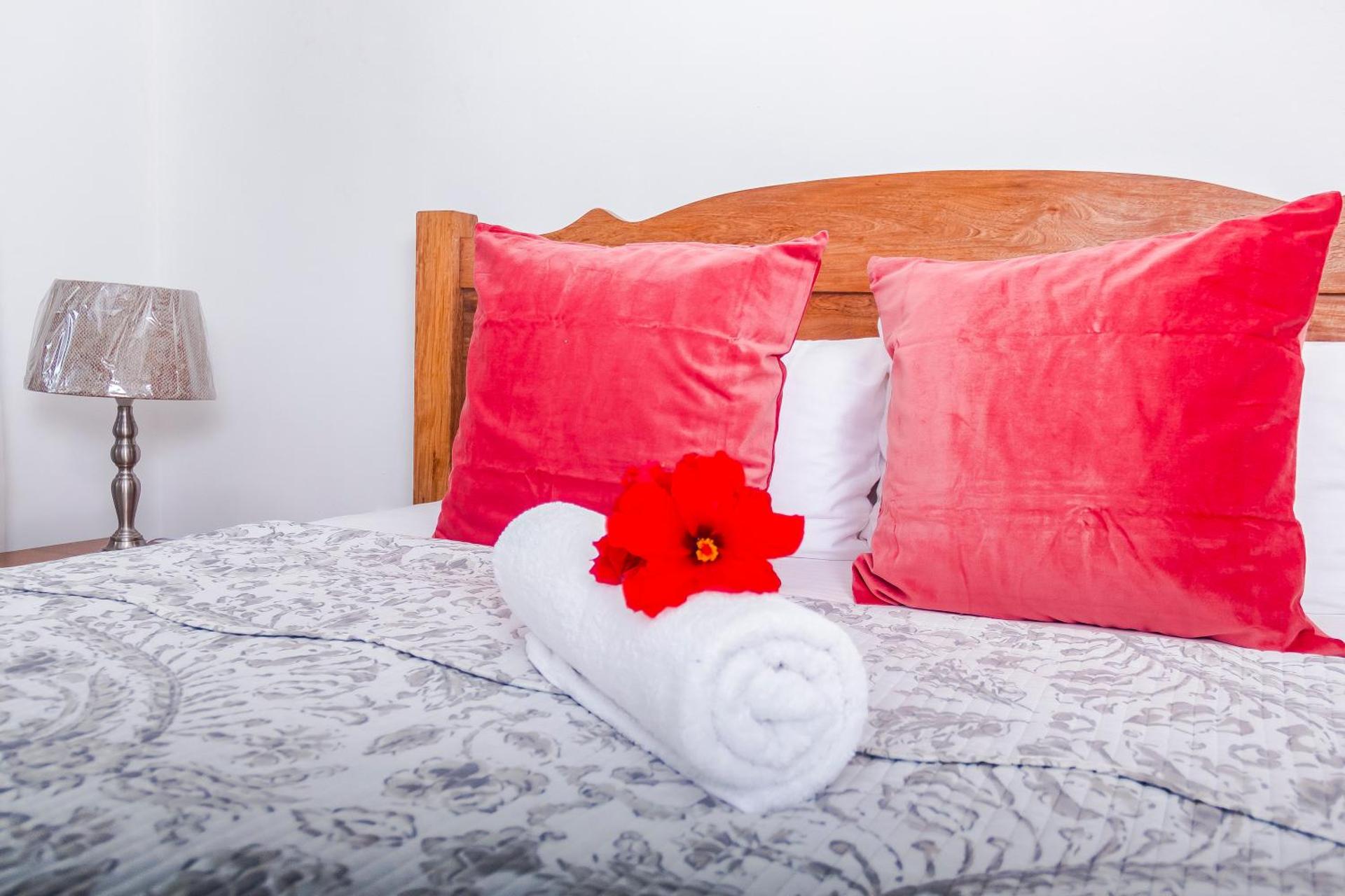 Le Manglier - Photo 24