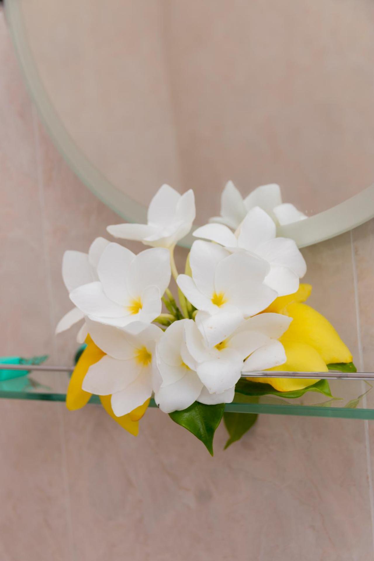 Le Manglier - Photo 27