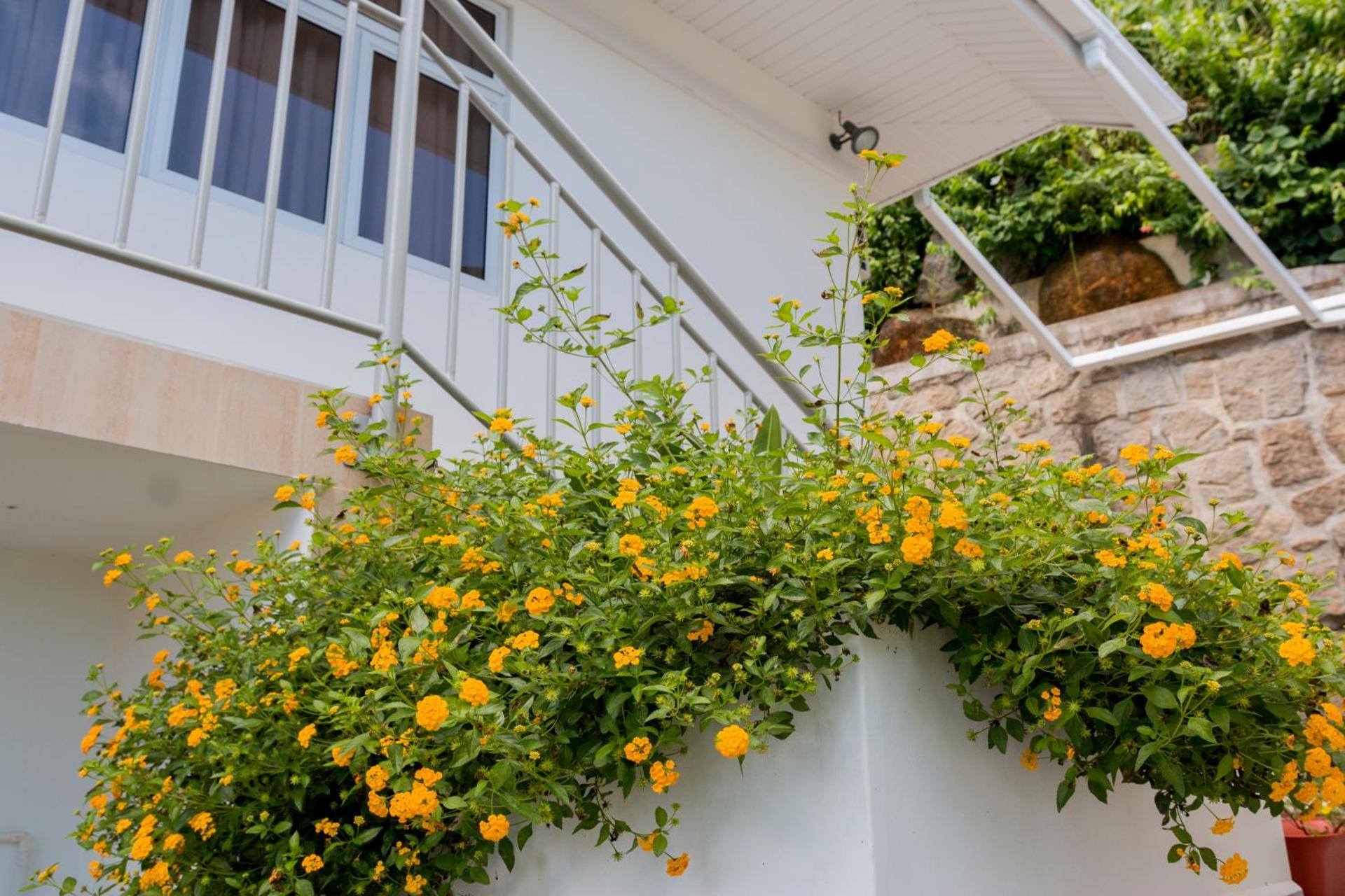 Le Manglier - Photo 16