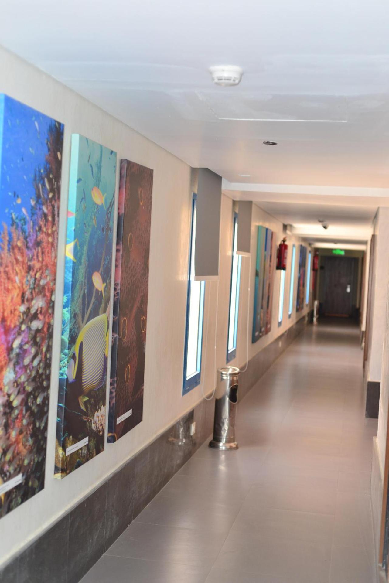 Marina Sharm Hotel - Photo 5