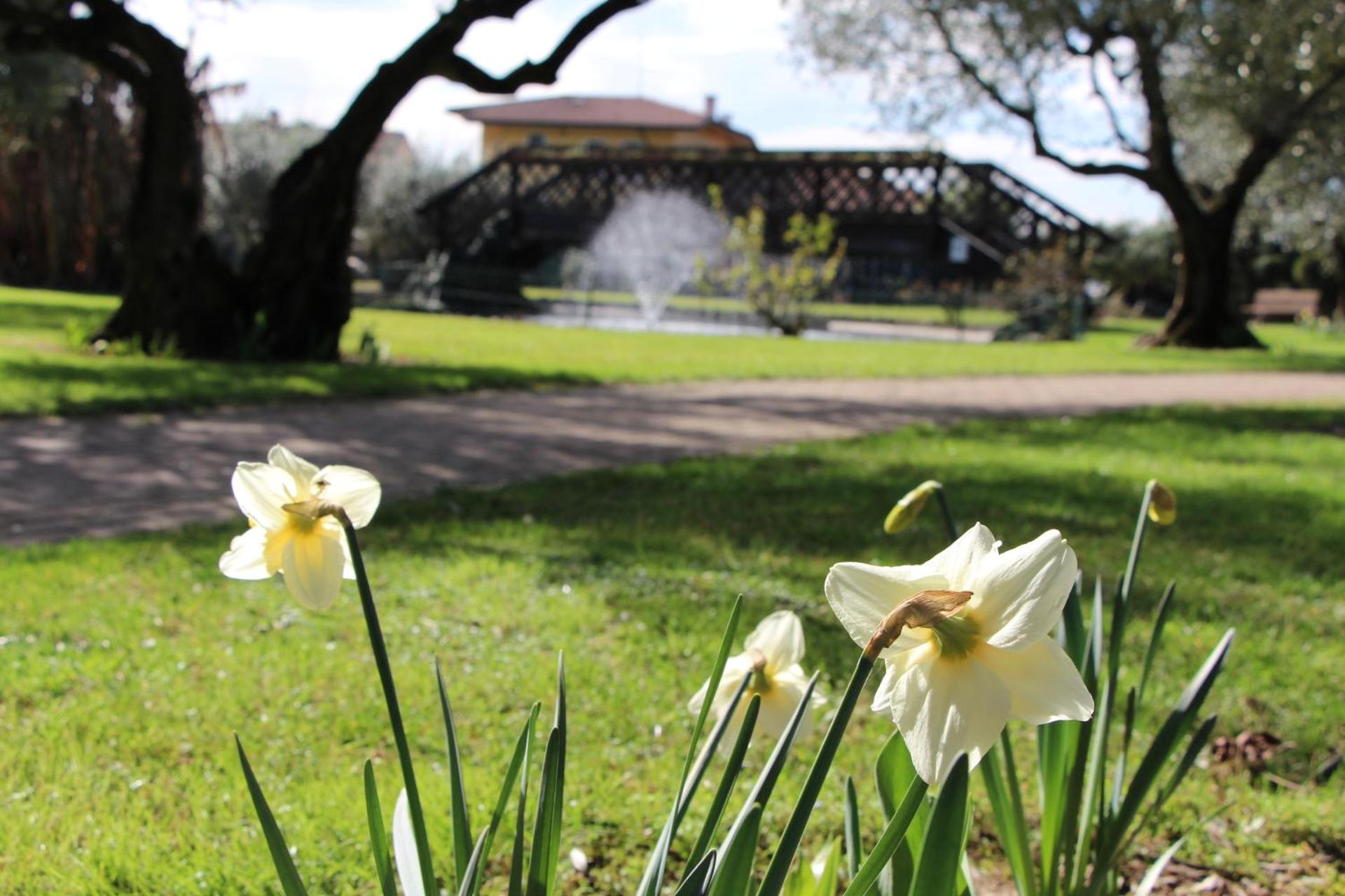 Villa Quaranta Tommasi Wine Resort & Thermal SPA - Photo 120