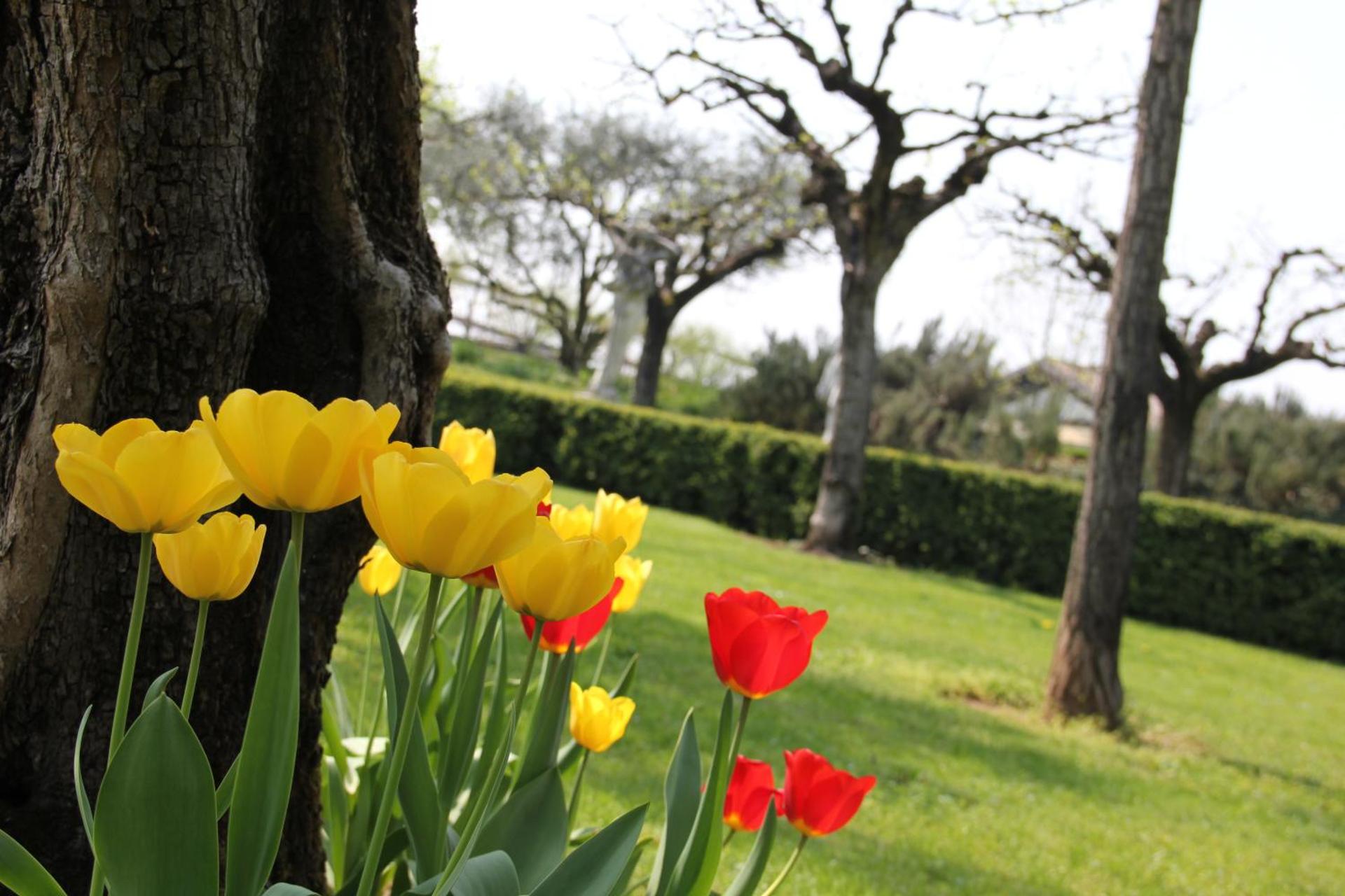 Villa Quaranta Tommasi Wine Resort & Thermal SPA - Photo 122