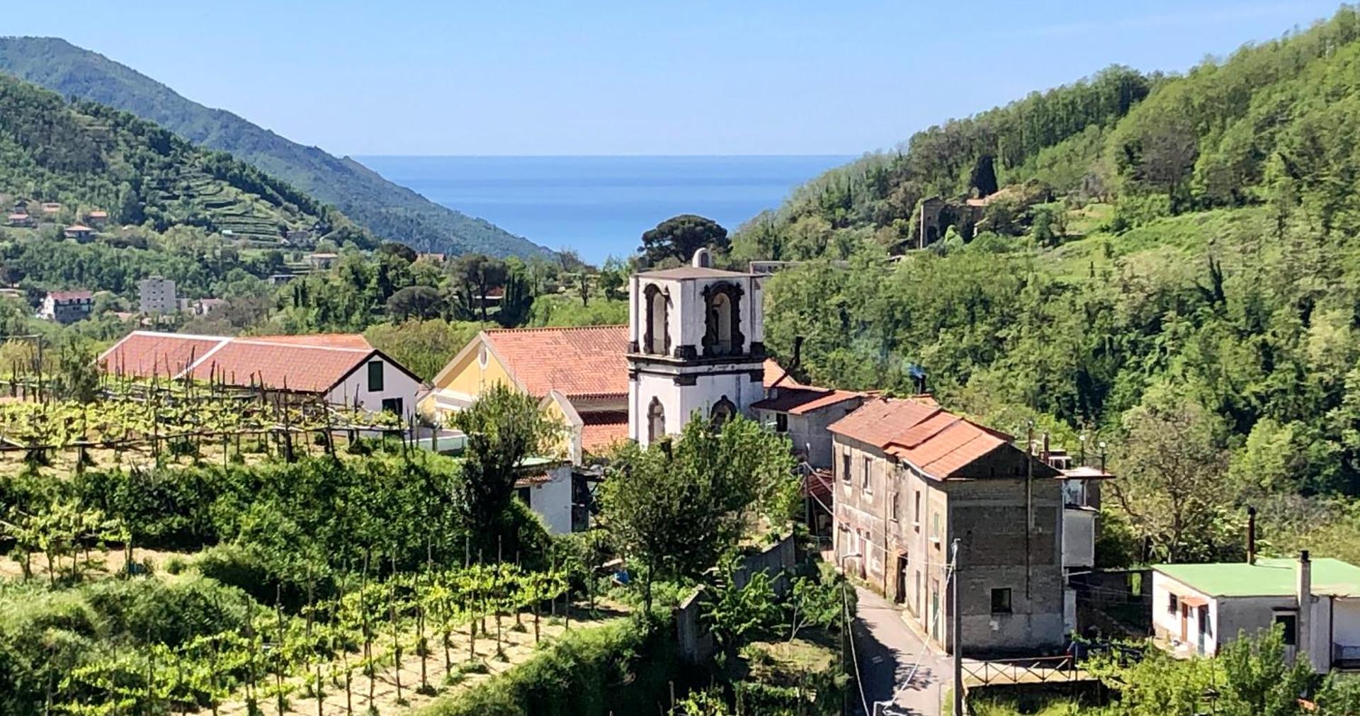 Farfalle E Gabbiani - Photo 32