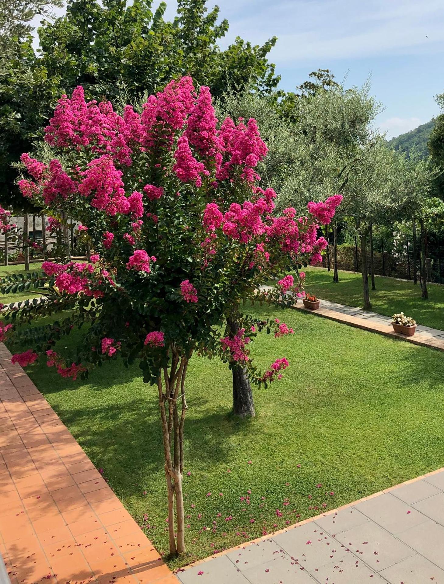 Farfalle E Gabbiani - Photo 44