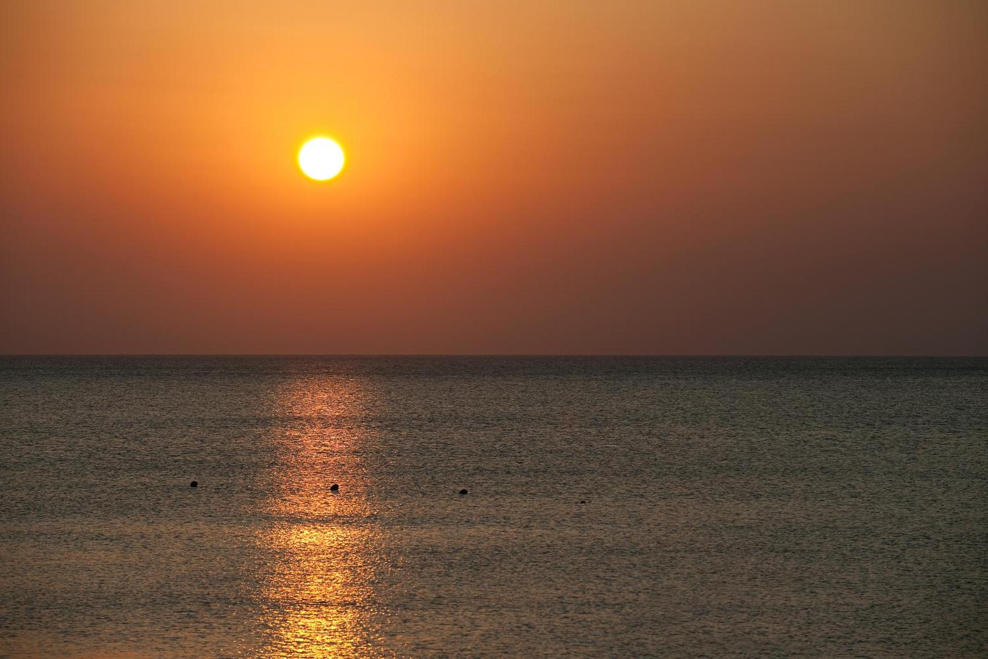 Apollo Blue - Photo 19