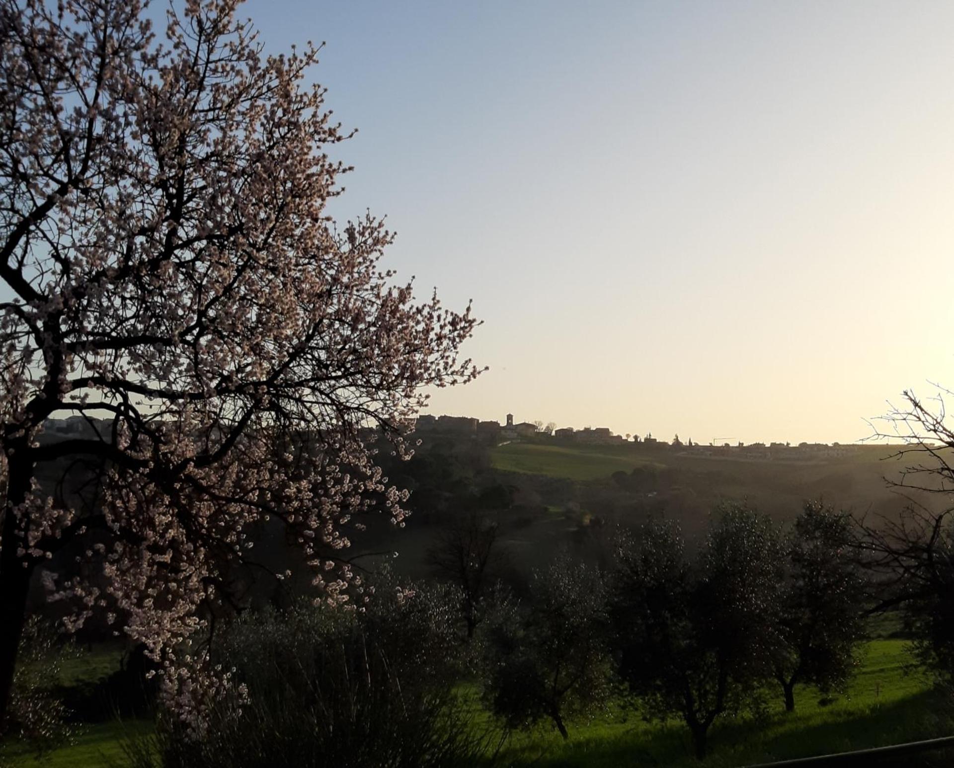 Casale Ziarelli - Photo 10