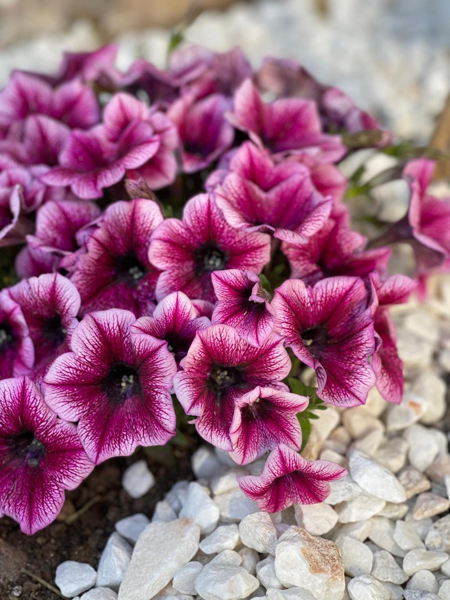 Platon Hotel - Photo 2