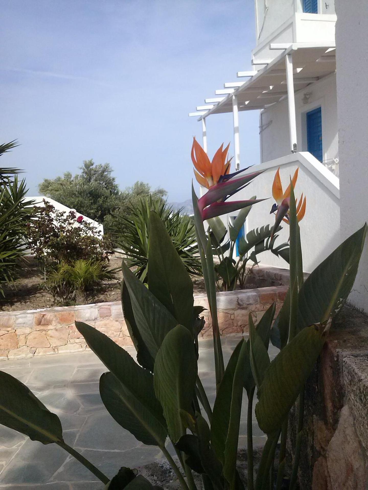 Glaronisia Hotel - Photo 3