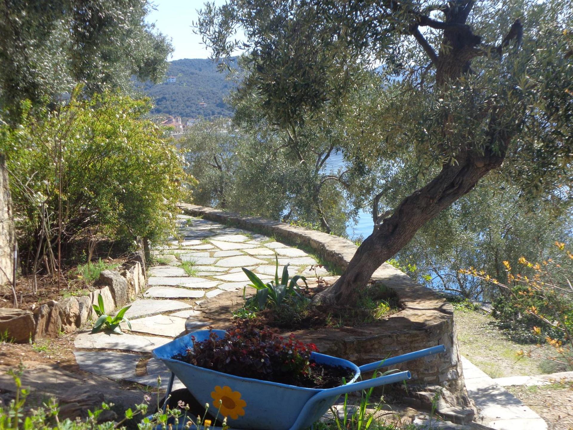 Sea Front - Photo 21