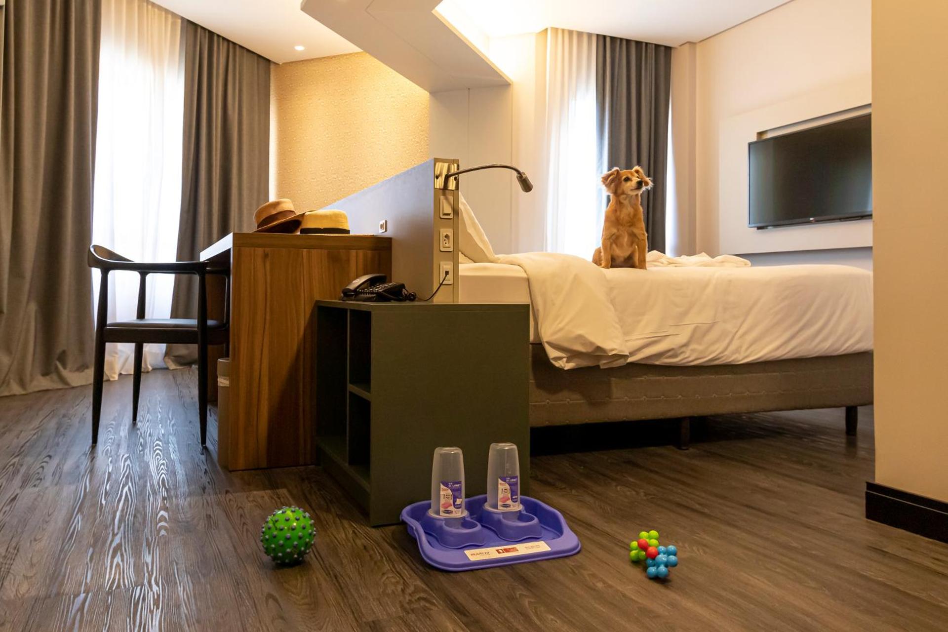 Mercure Florianópolis - Photo 133