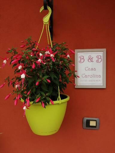 Casa Carolina - Photo 31