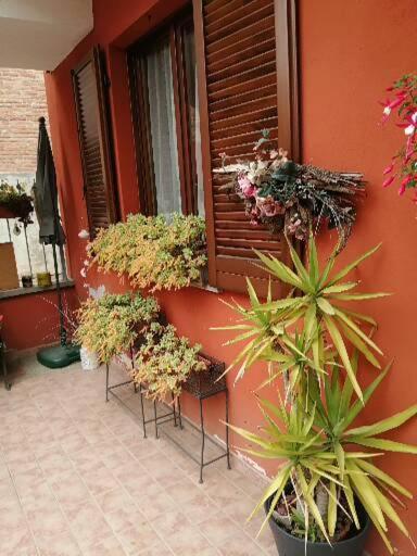 Casa Carolina - Photo 33