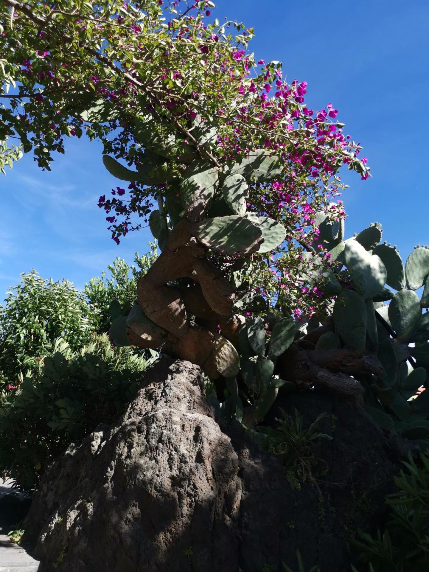 La Fattoria Dei Nonni - Photo 52