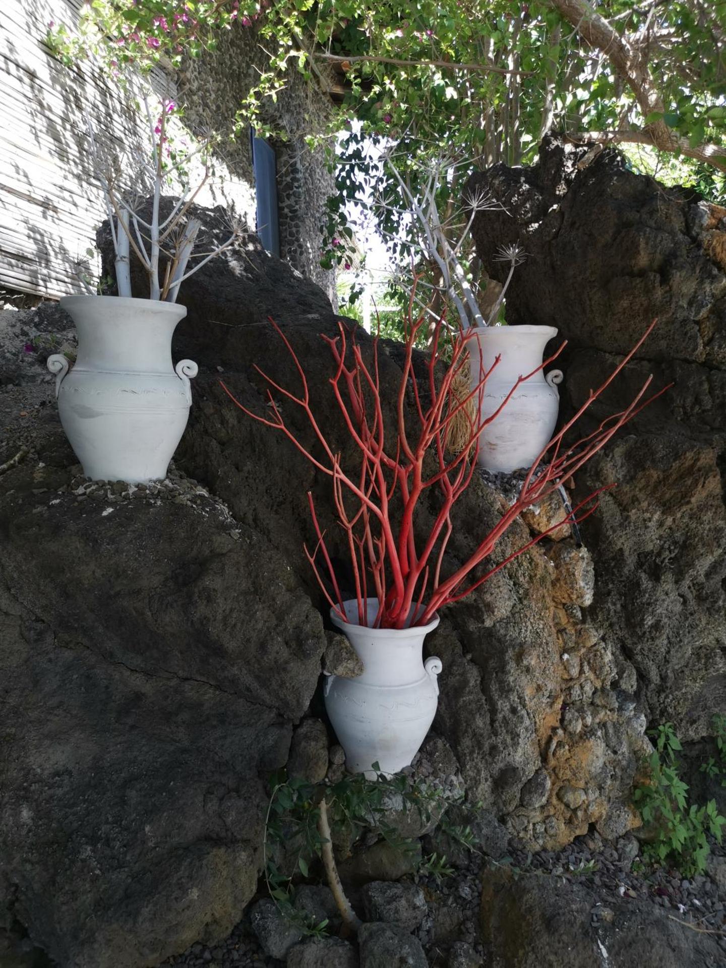 La Fattoria Dei Nonni - Photo 49