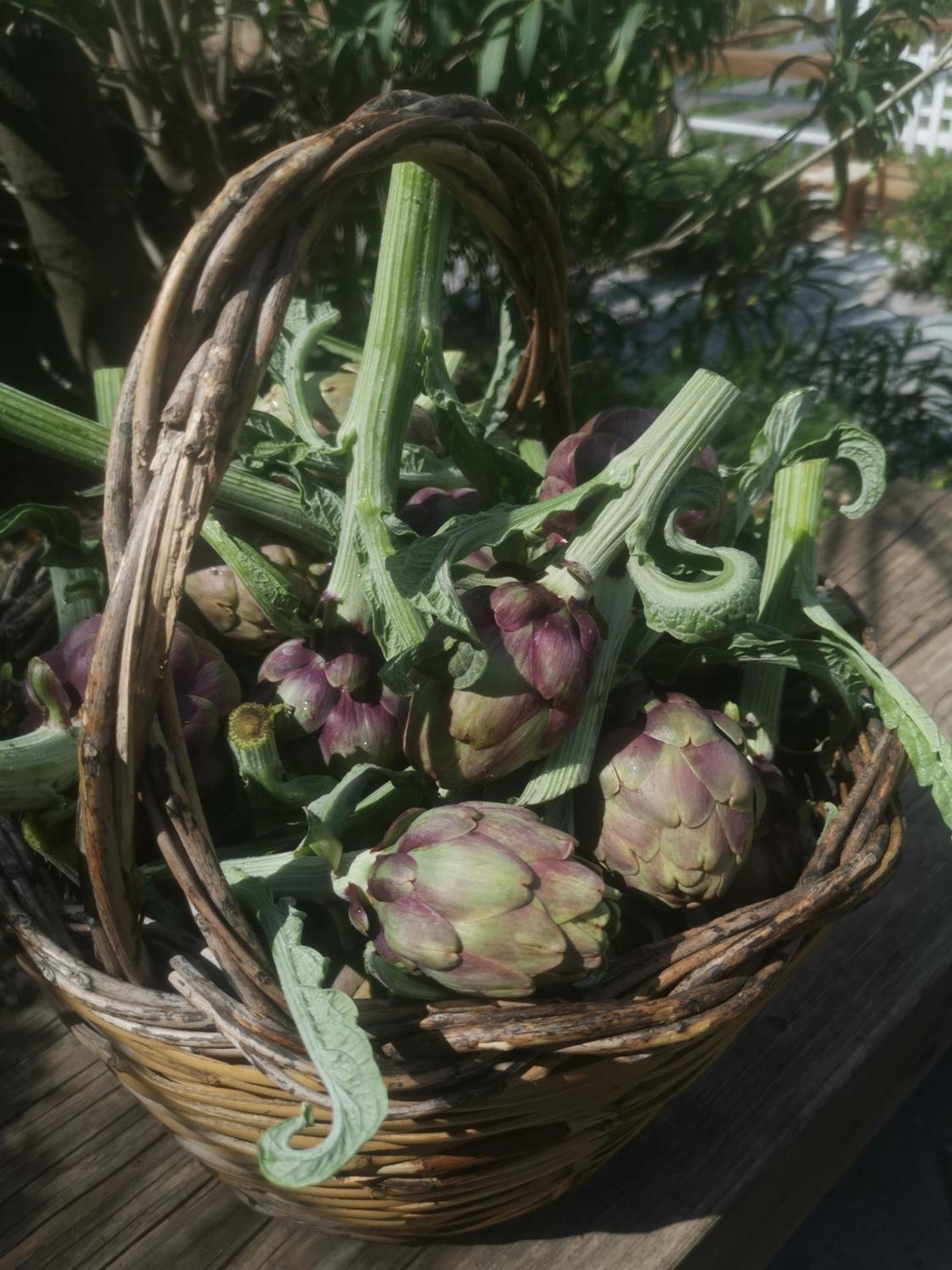 La Fattoria Dei Nonni - Photo 114