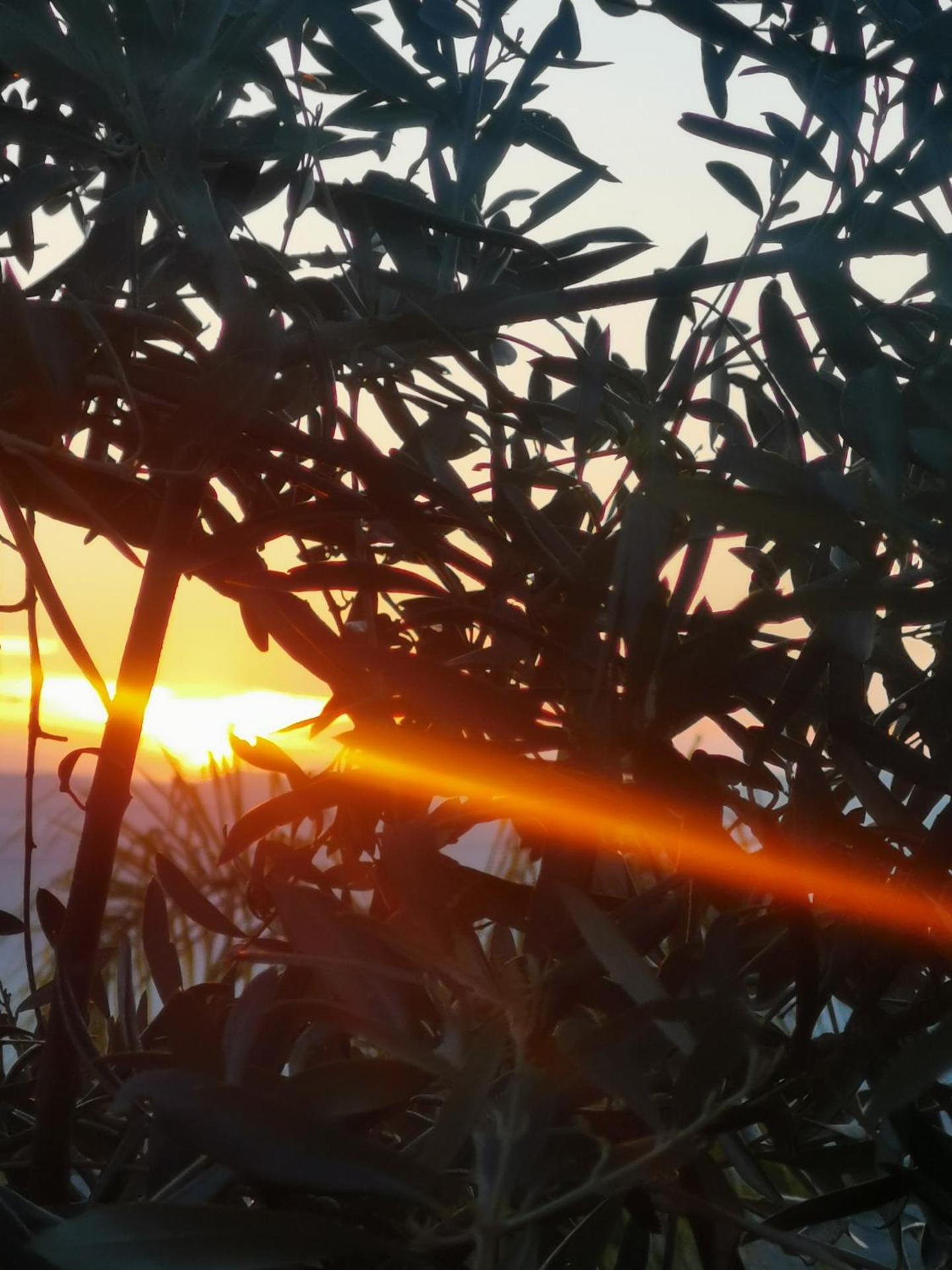 La Fattoria Dei Nonni - Photo 112