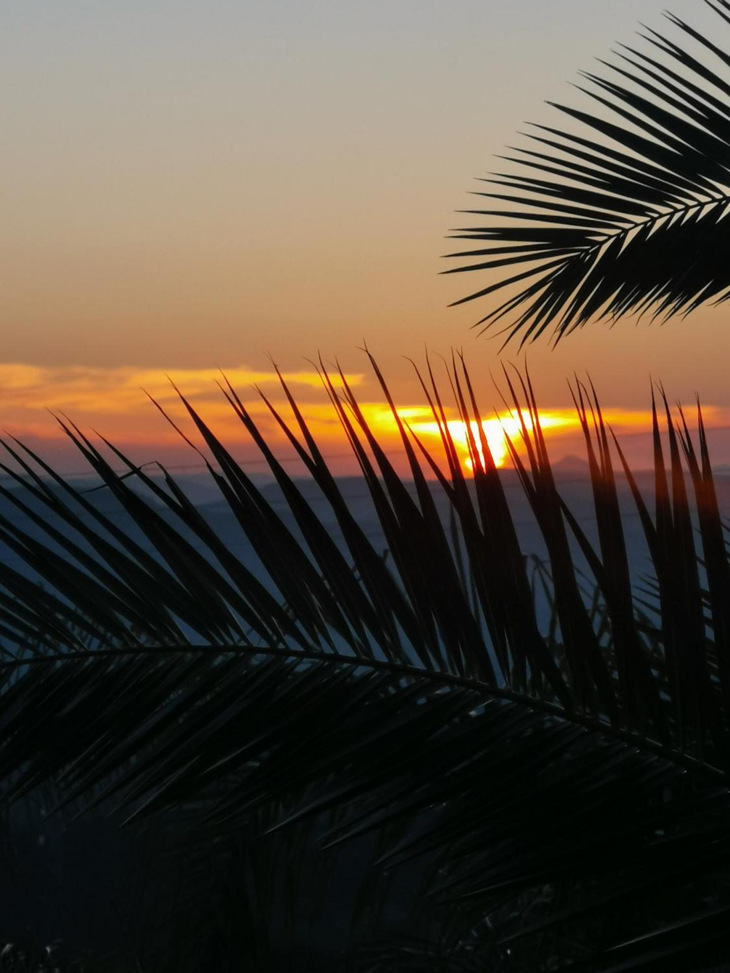La Fattoria Dei Nonni - Photo 111