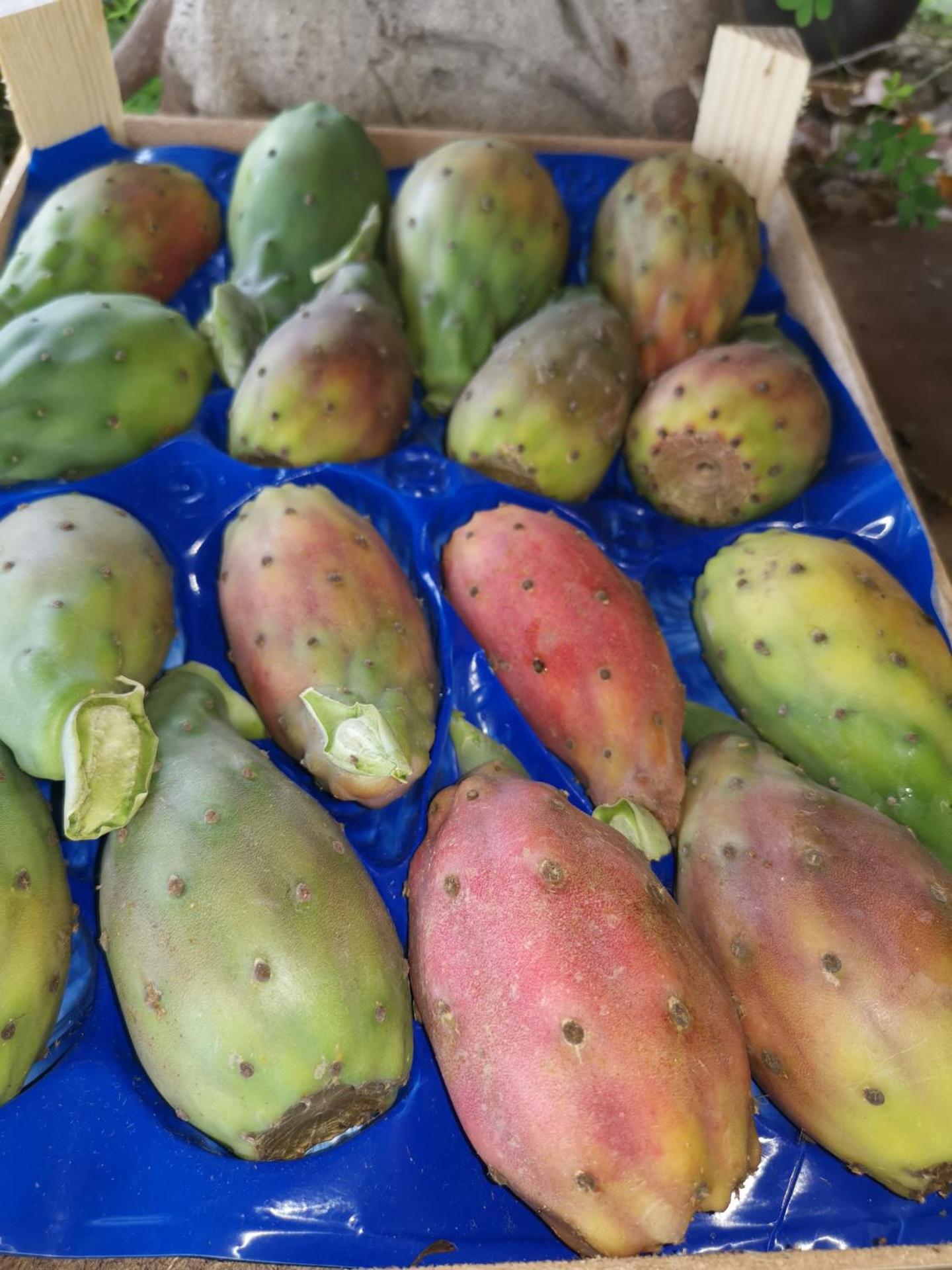 La Fattoria Dei Nonni - Photo 107