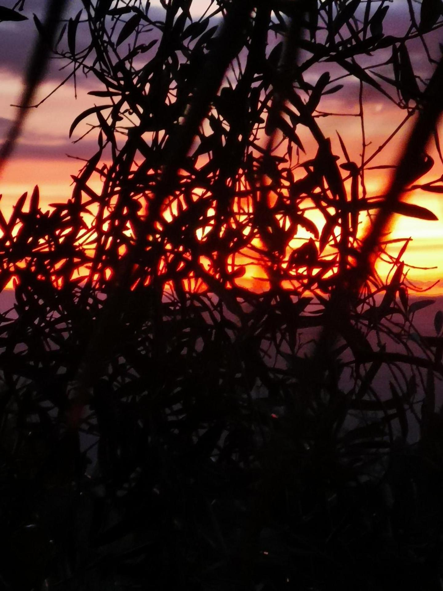 La Fattoria Dei Nonni - Photo 101