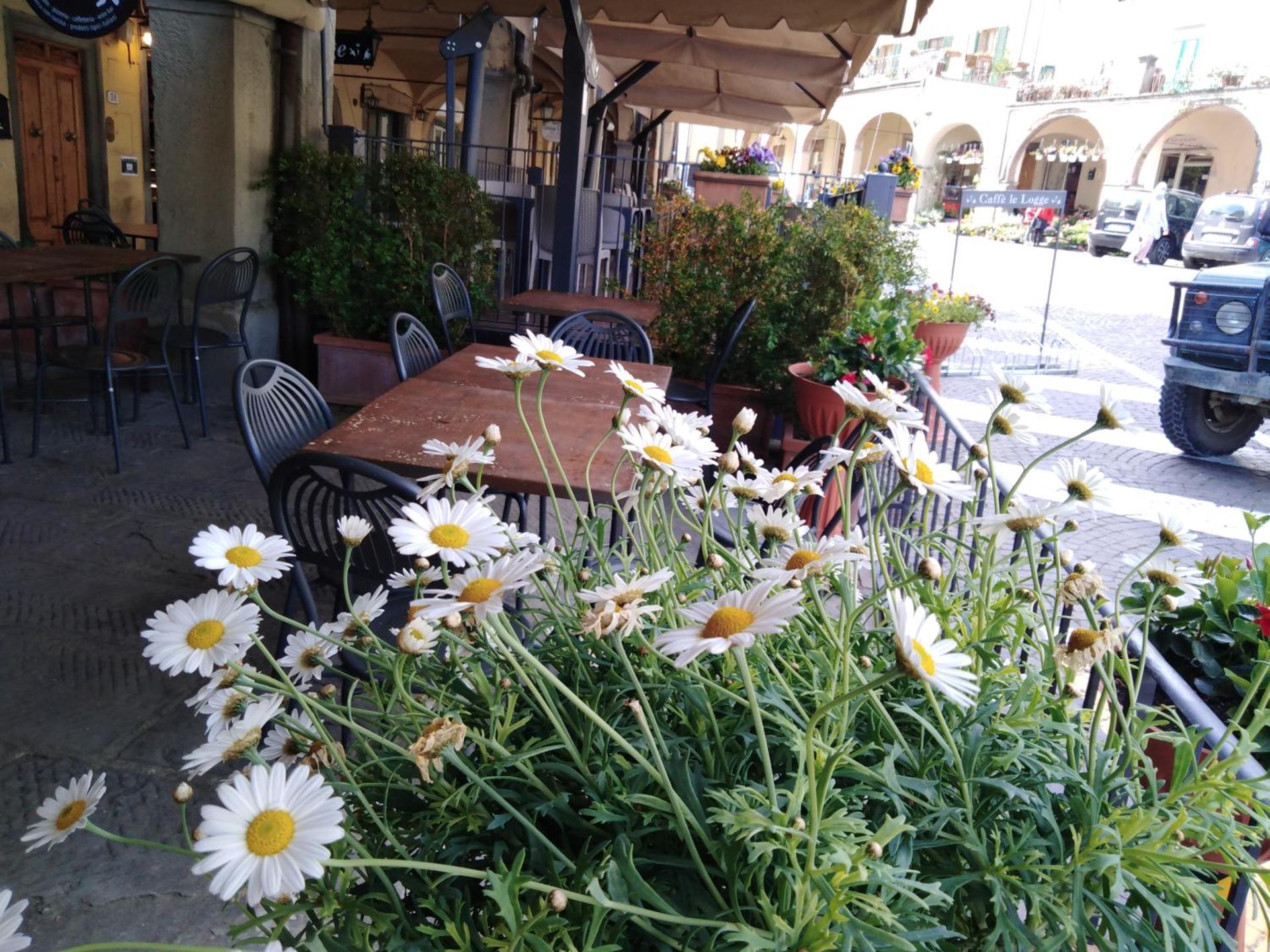 Albergo Giovanni Da Verrazzano - Photo 38