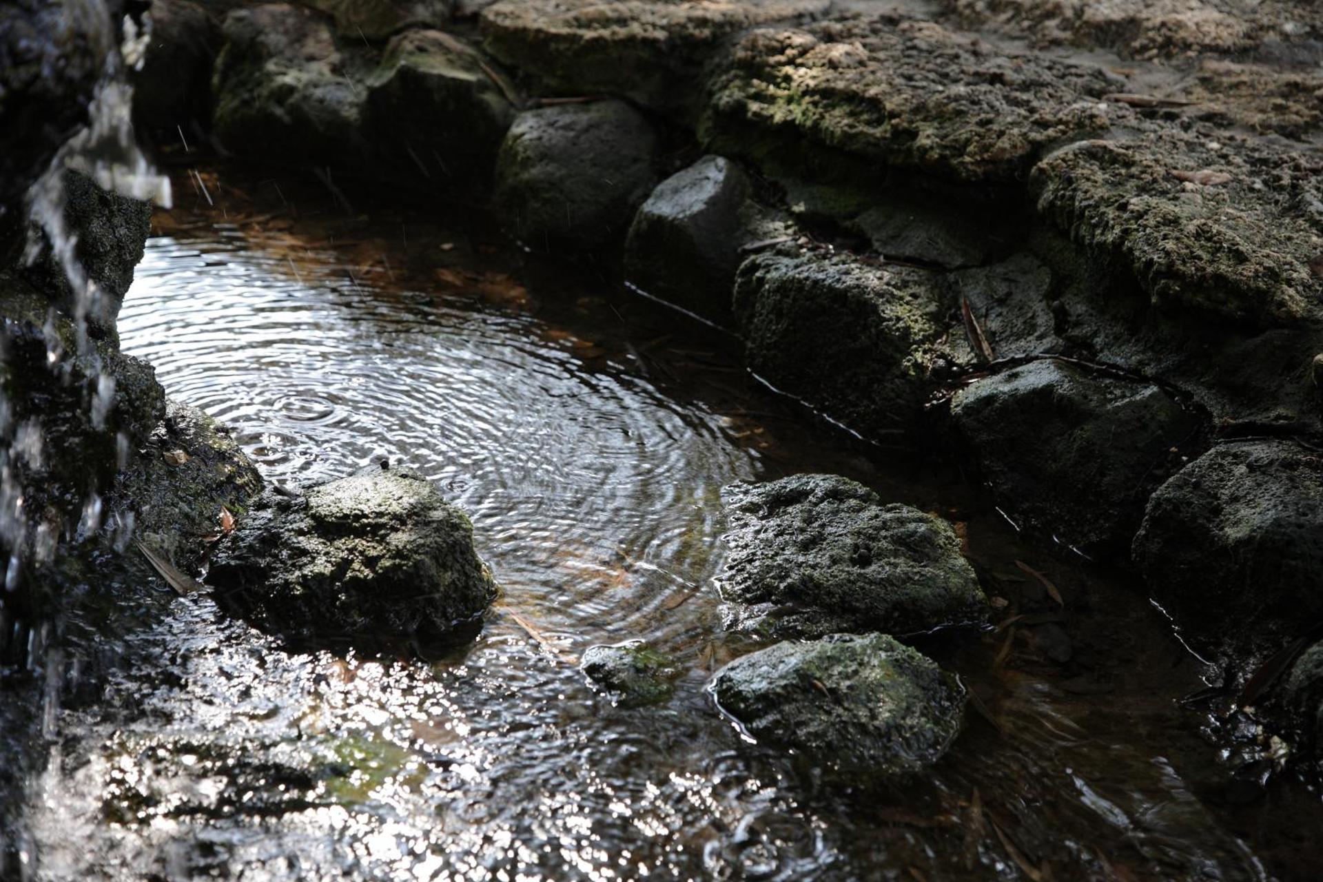 Sa Pedrera Country Hotel - Photo 12