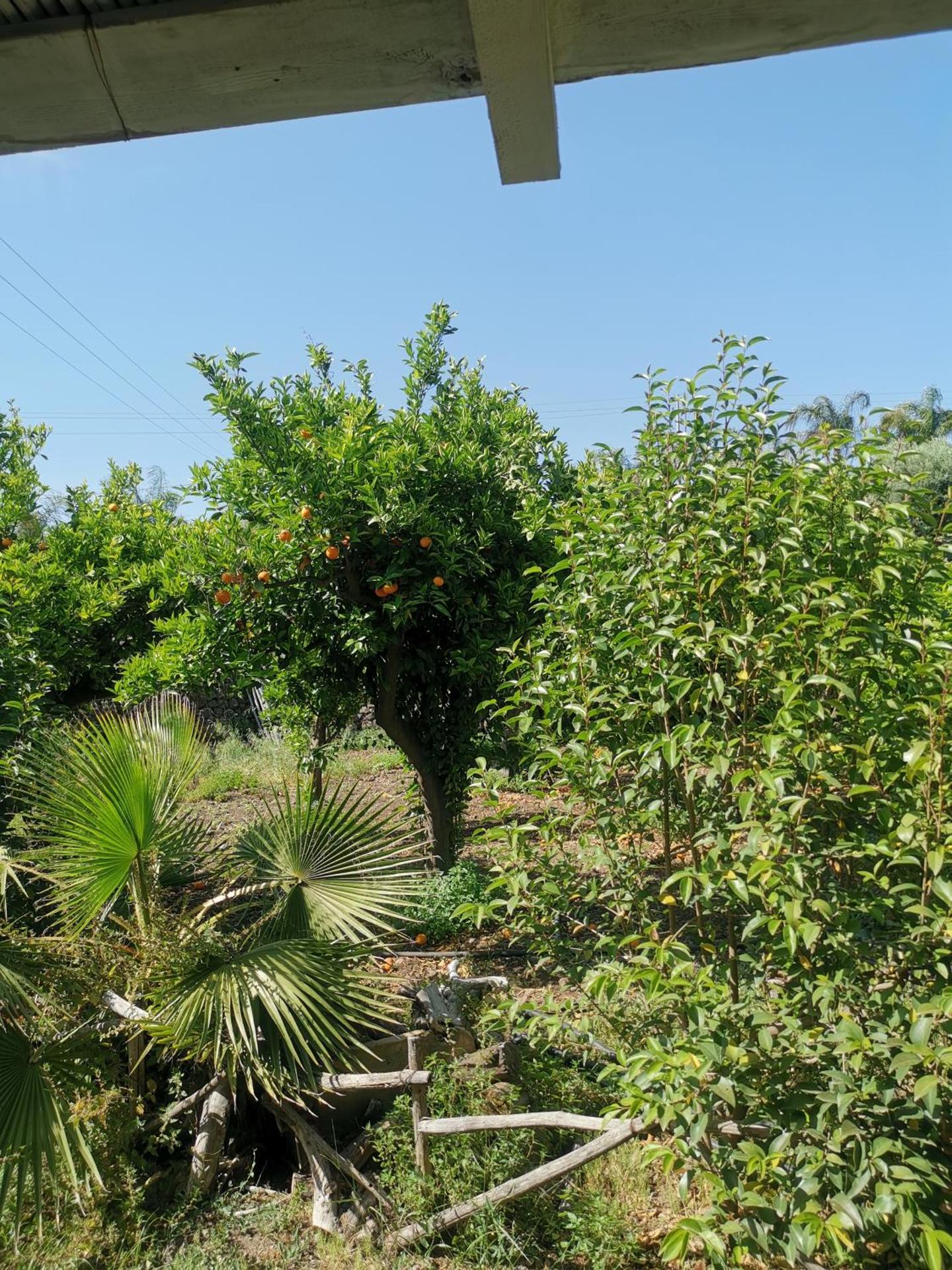 La Fattoria Dei Nonni - Photo 4