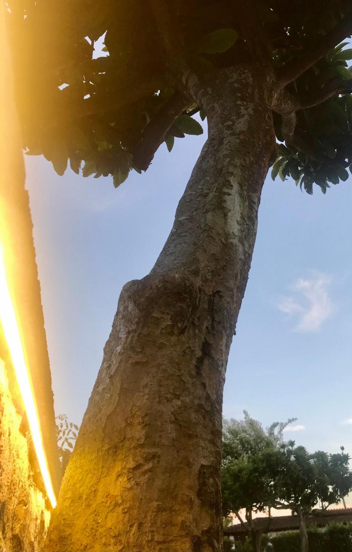 I Lecci Guesthouse - Photo 186