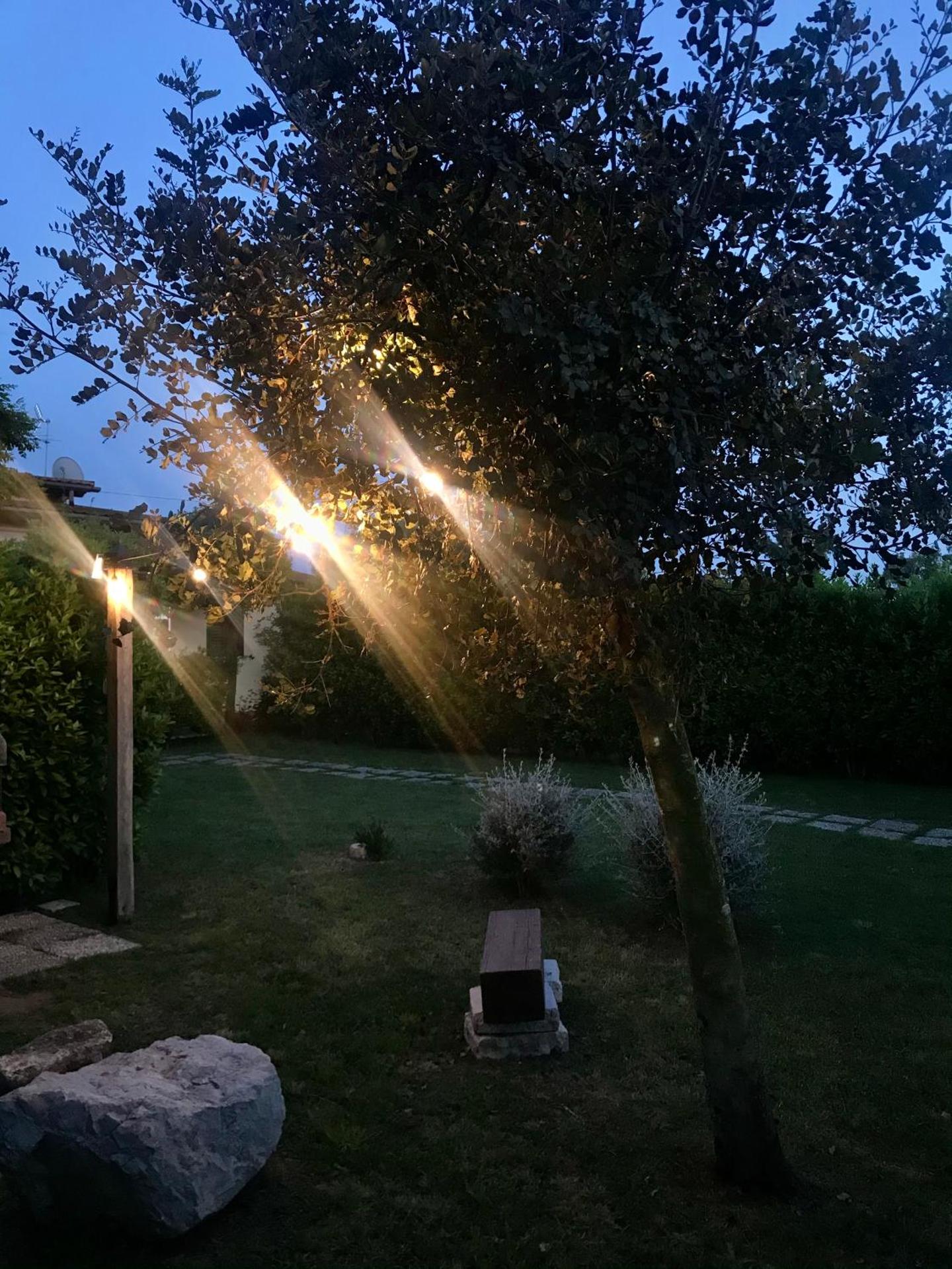 I Lecci Guesthouse - Photo 184