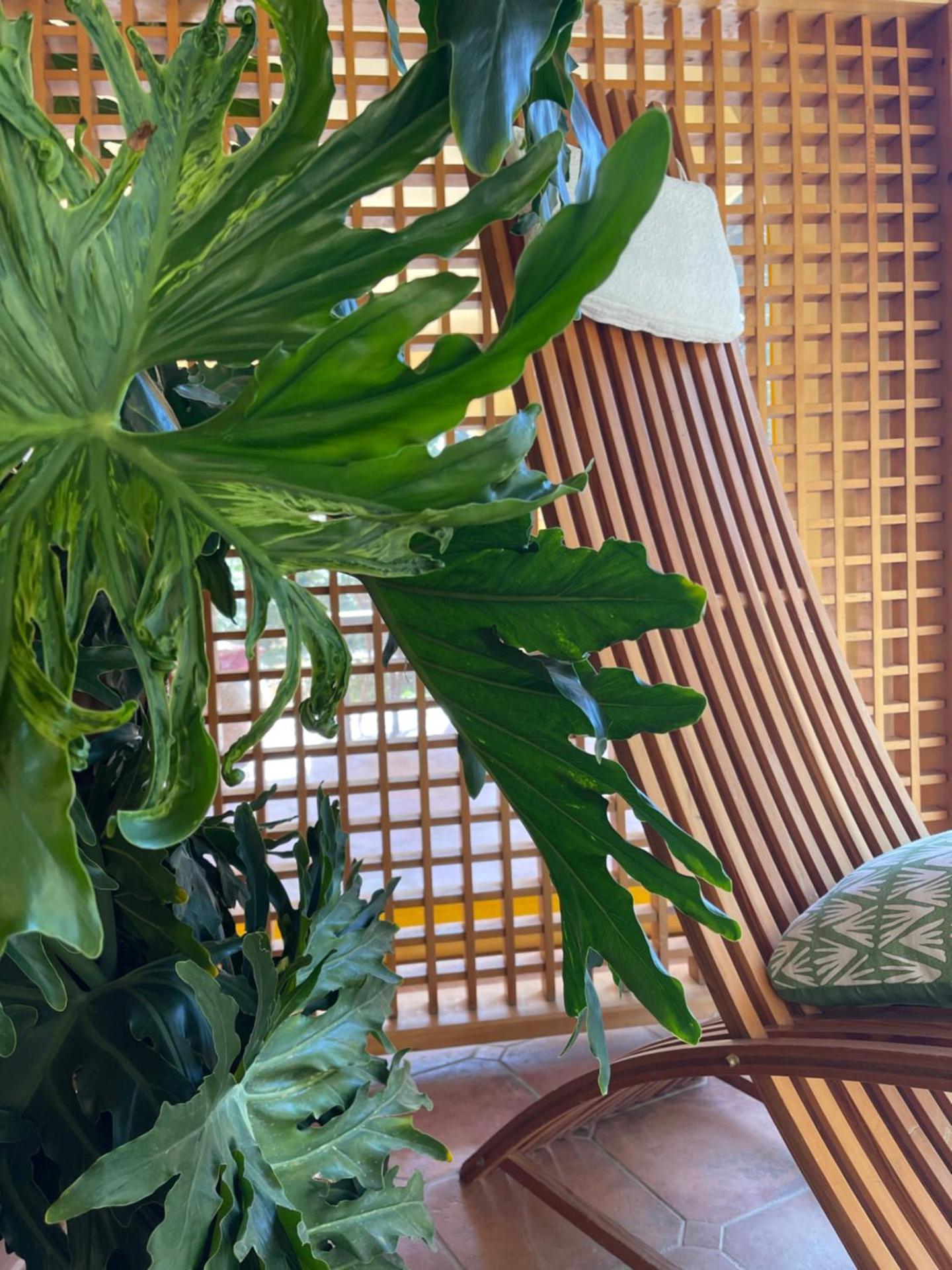 S'Arenada Hotel - Adults Only - Photo 19