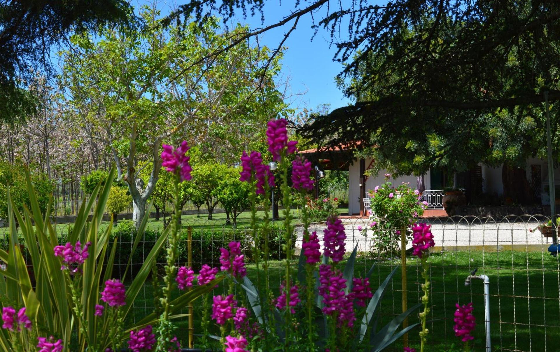Villa Irene Pisticci-Matera - Photo 98