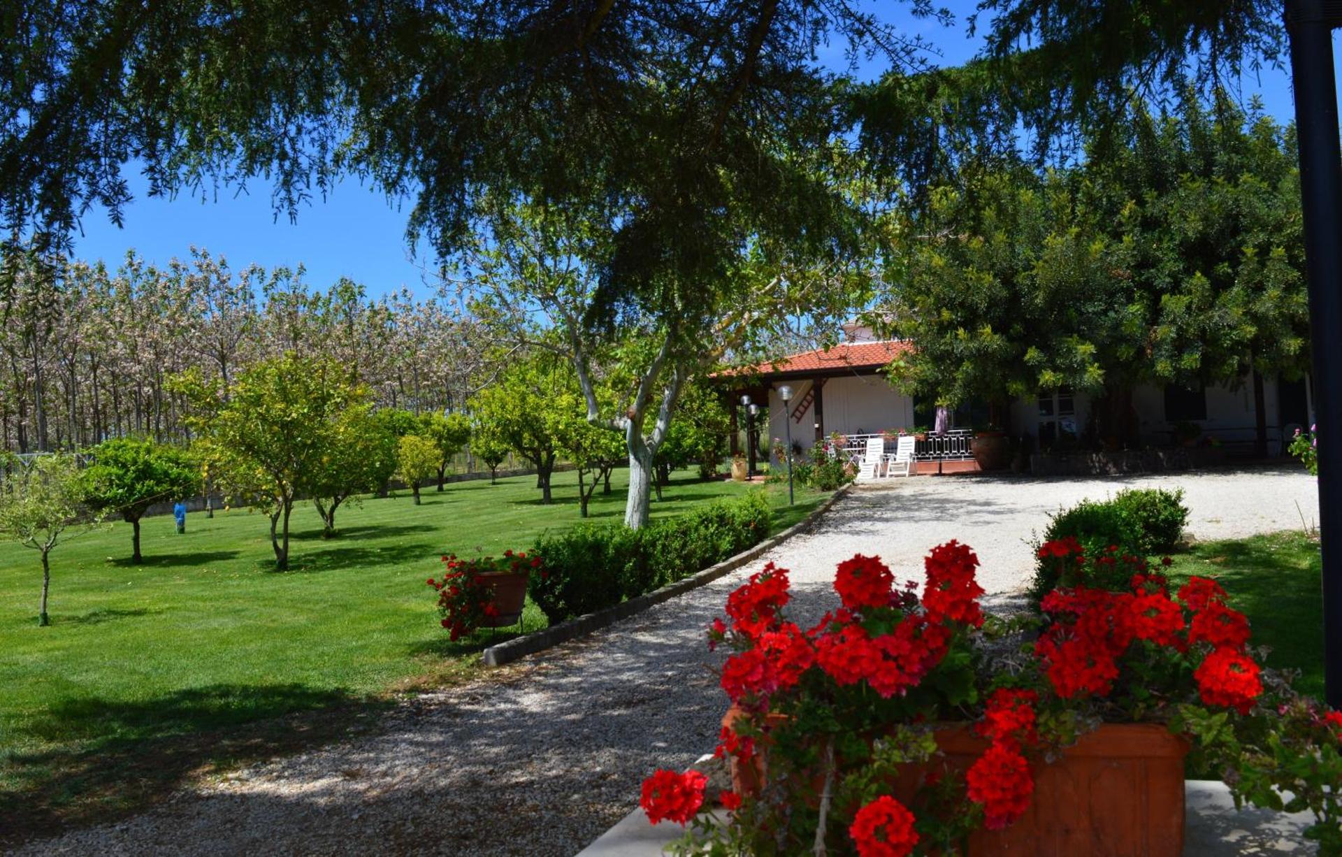 Villa Irene Pisticci-Matera - Photo 97