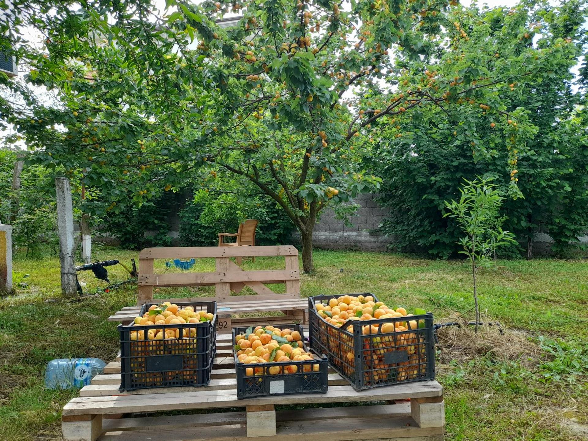 Chateau Sukaj - Photo 21