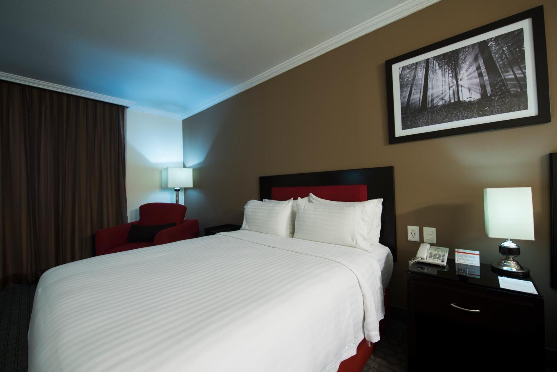 Ramada by Wyndham Ciudad de México Perinorte - Photo 12