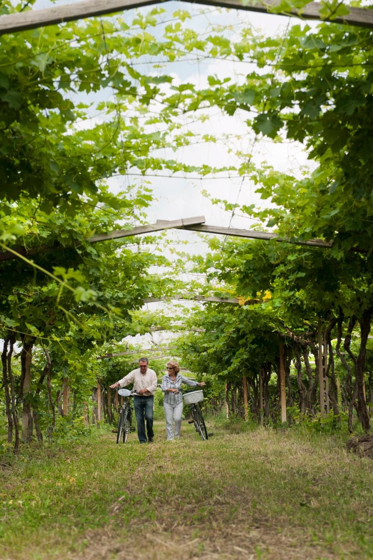 Cangrande Hotel - Photo 17