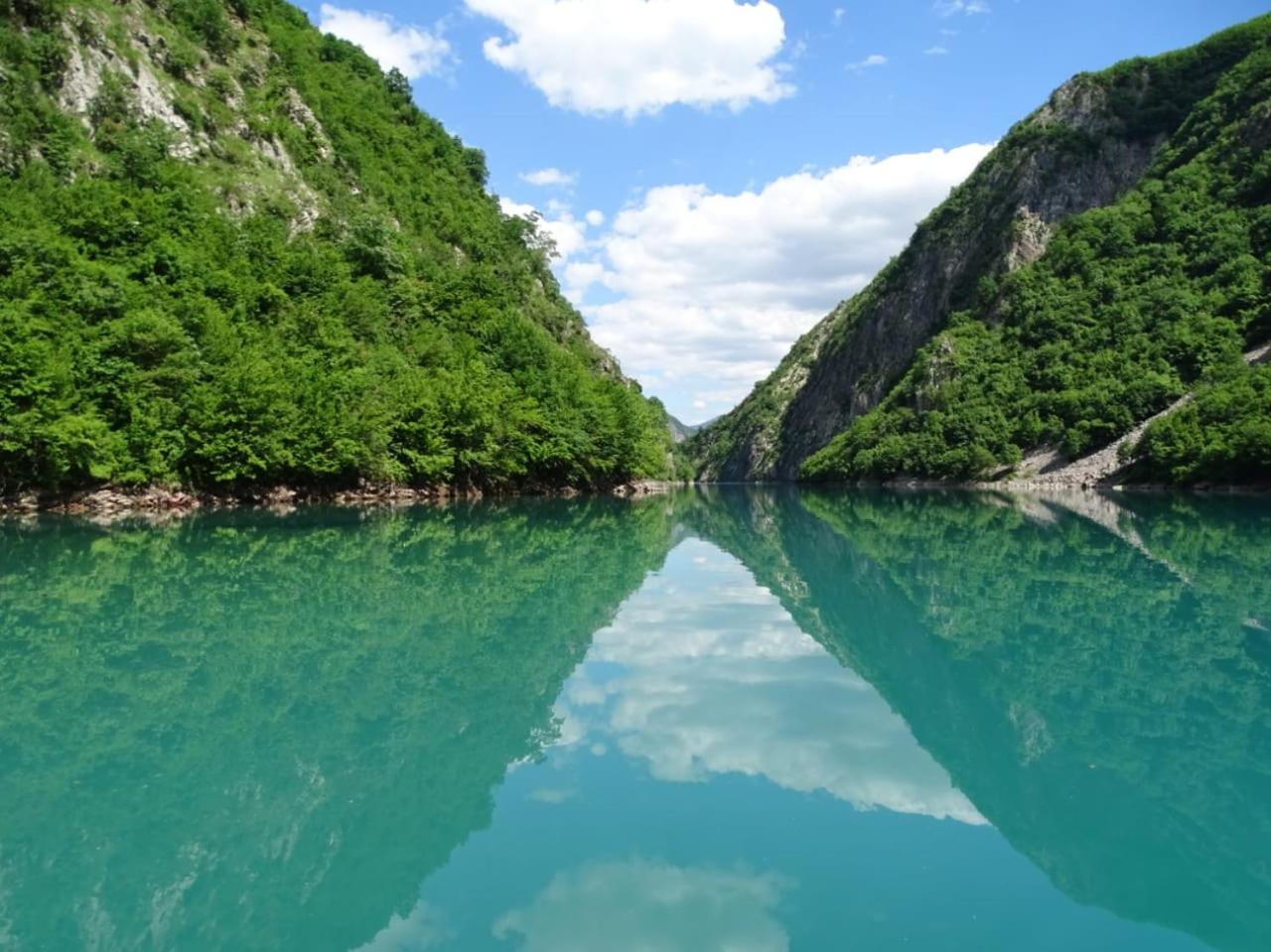 5 Stinet - Photo 129