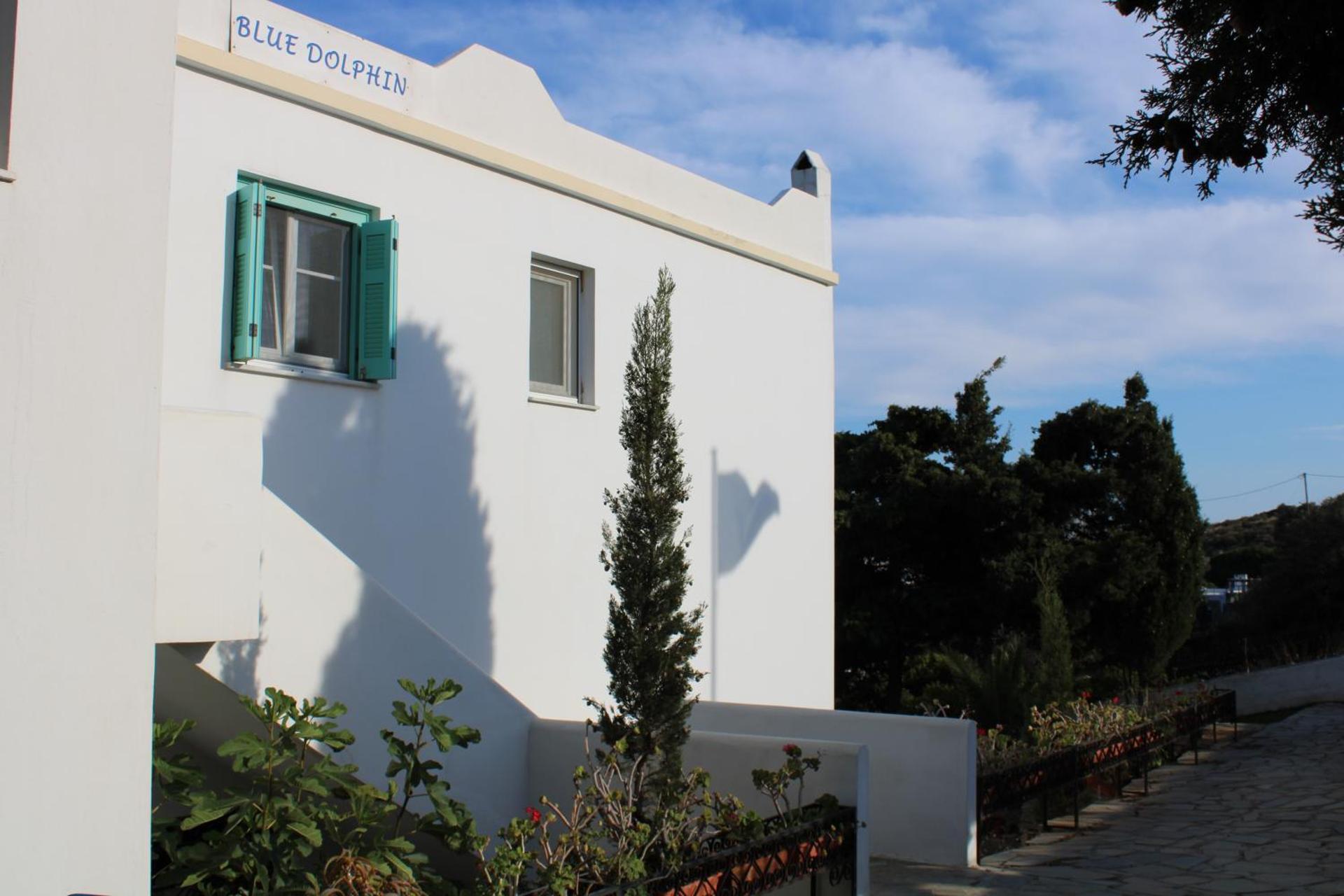 Blue Dolphin - Photo 261