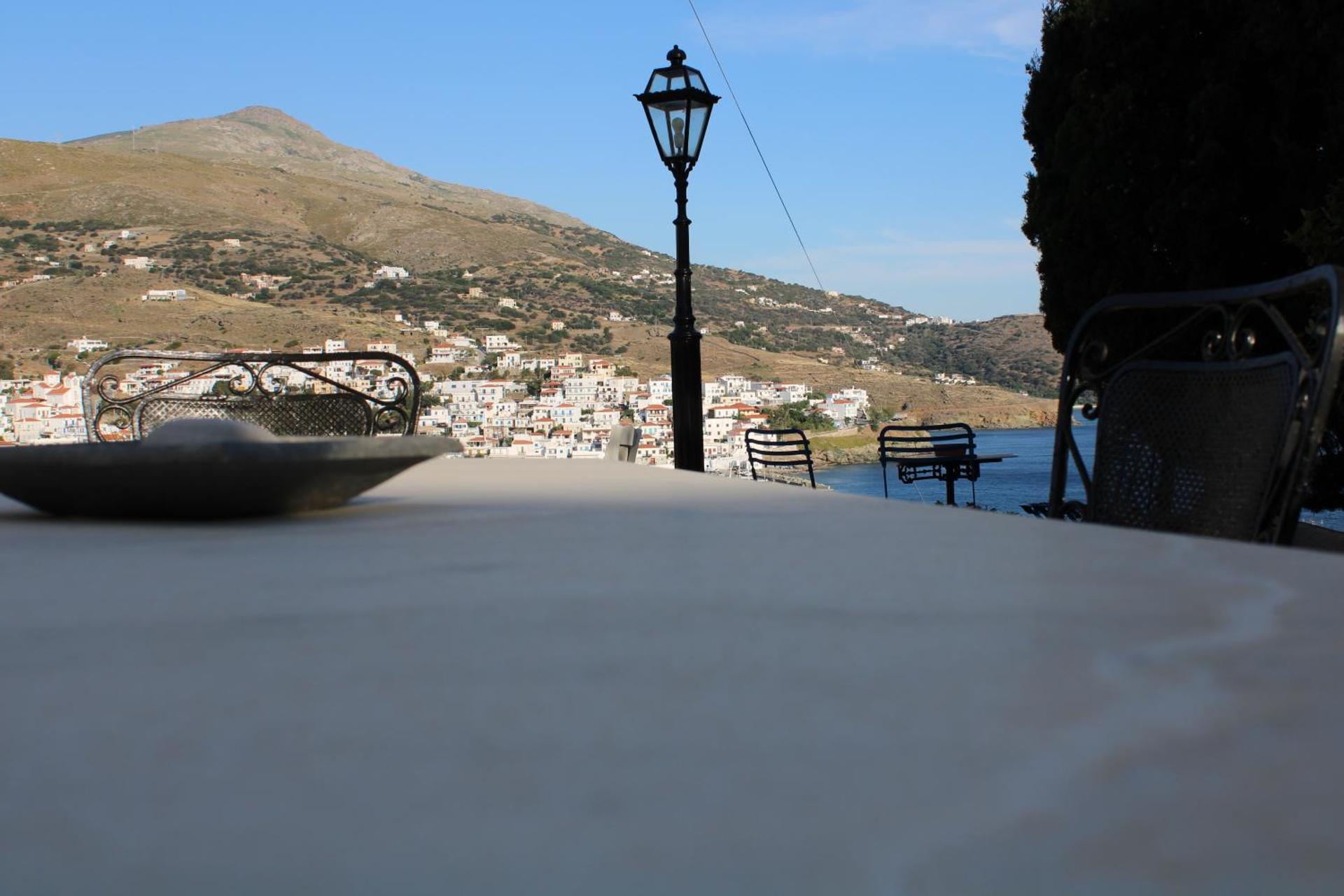 Blue Dolphin - Photo 263