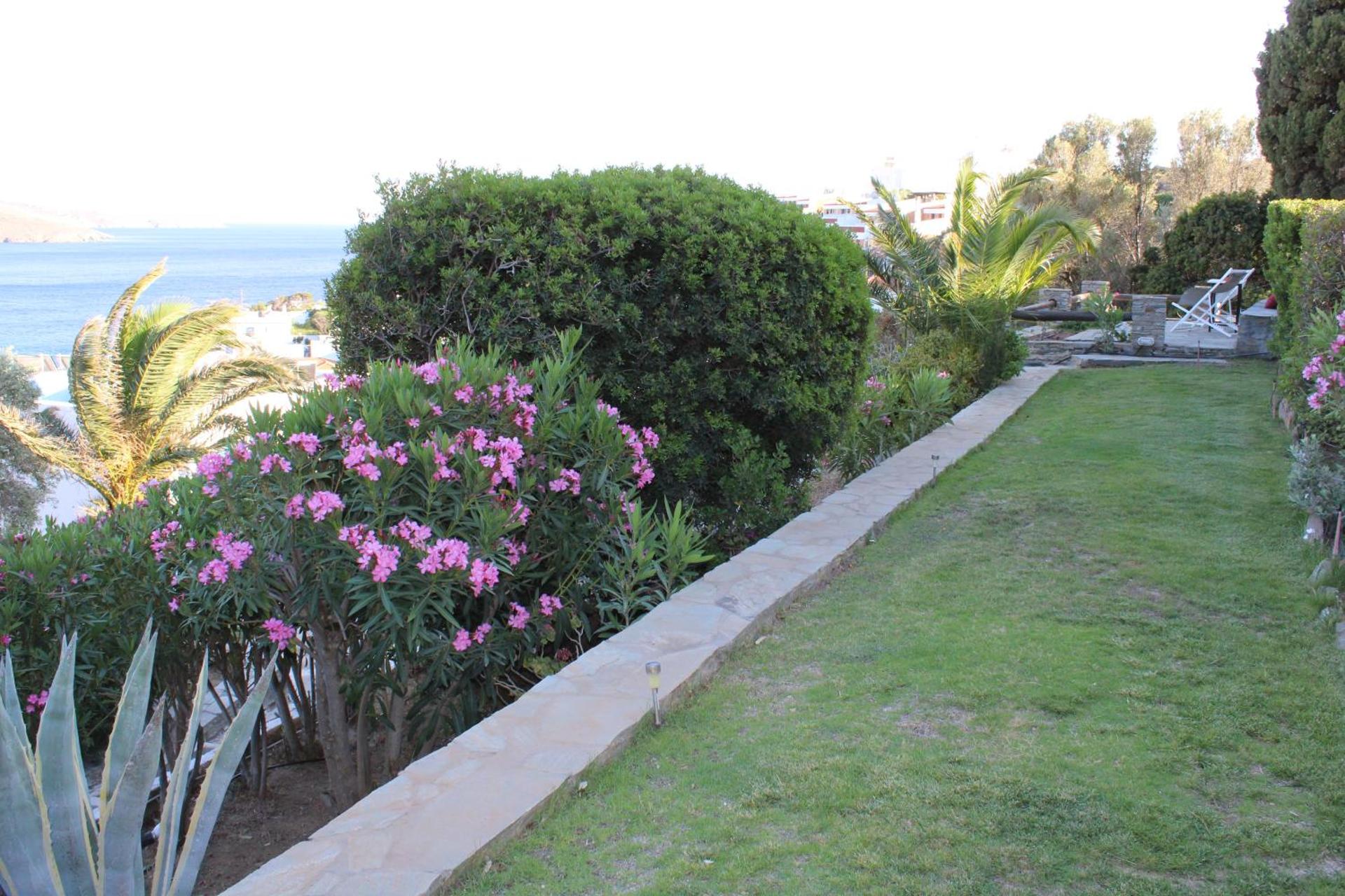 Blue Dolphin - Photo 265