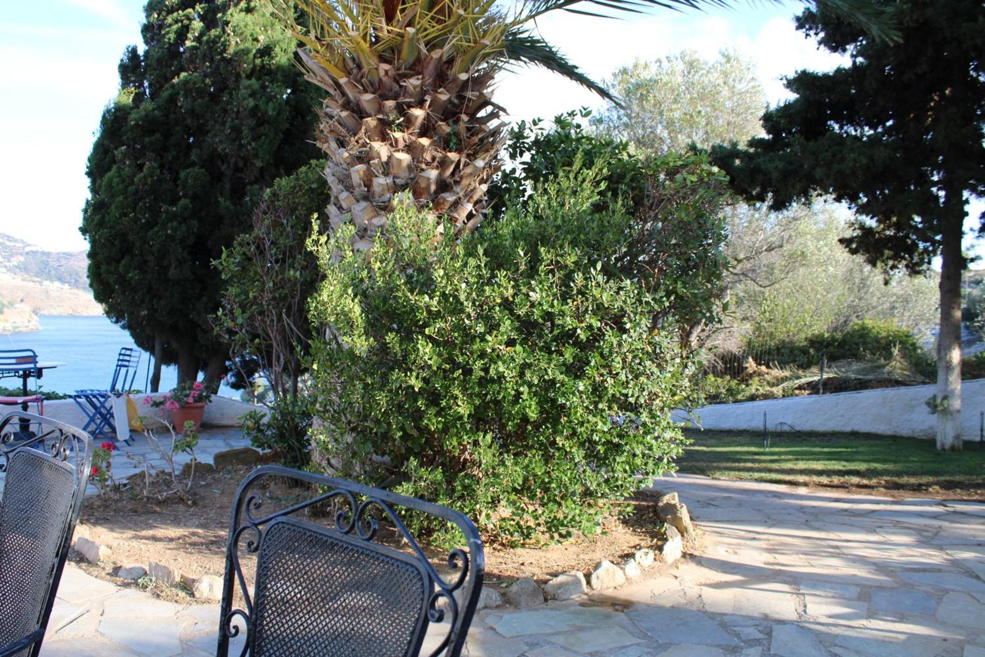 Blue Dolphin - Photo 264