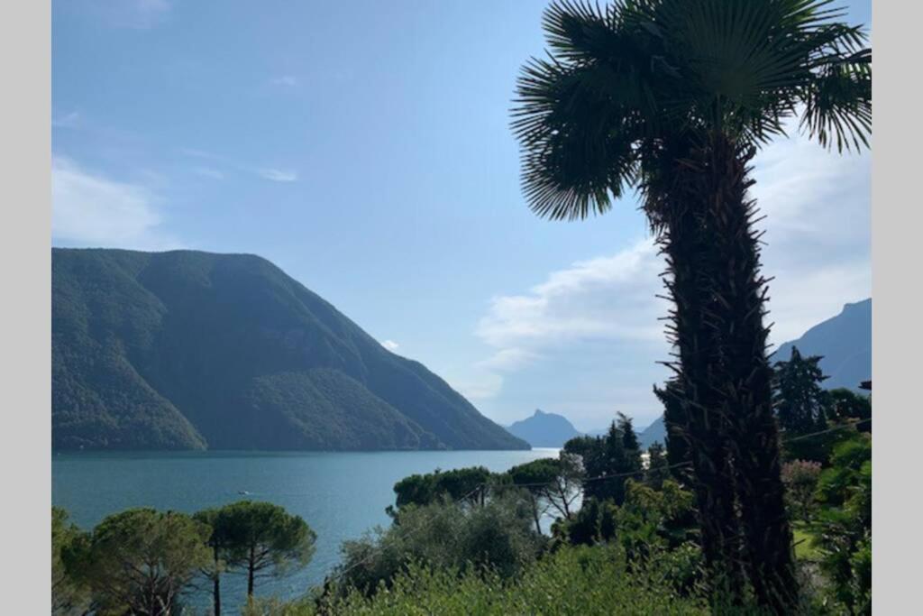 Cosy Penthouse with stunning view on Lugano Lake - Photo 17