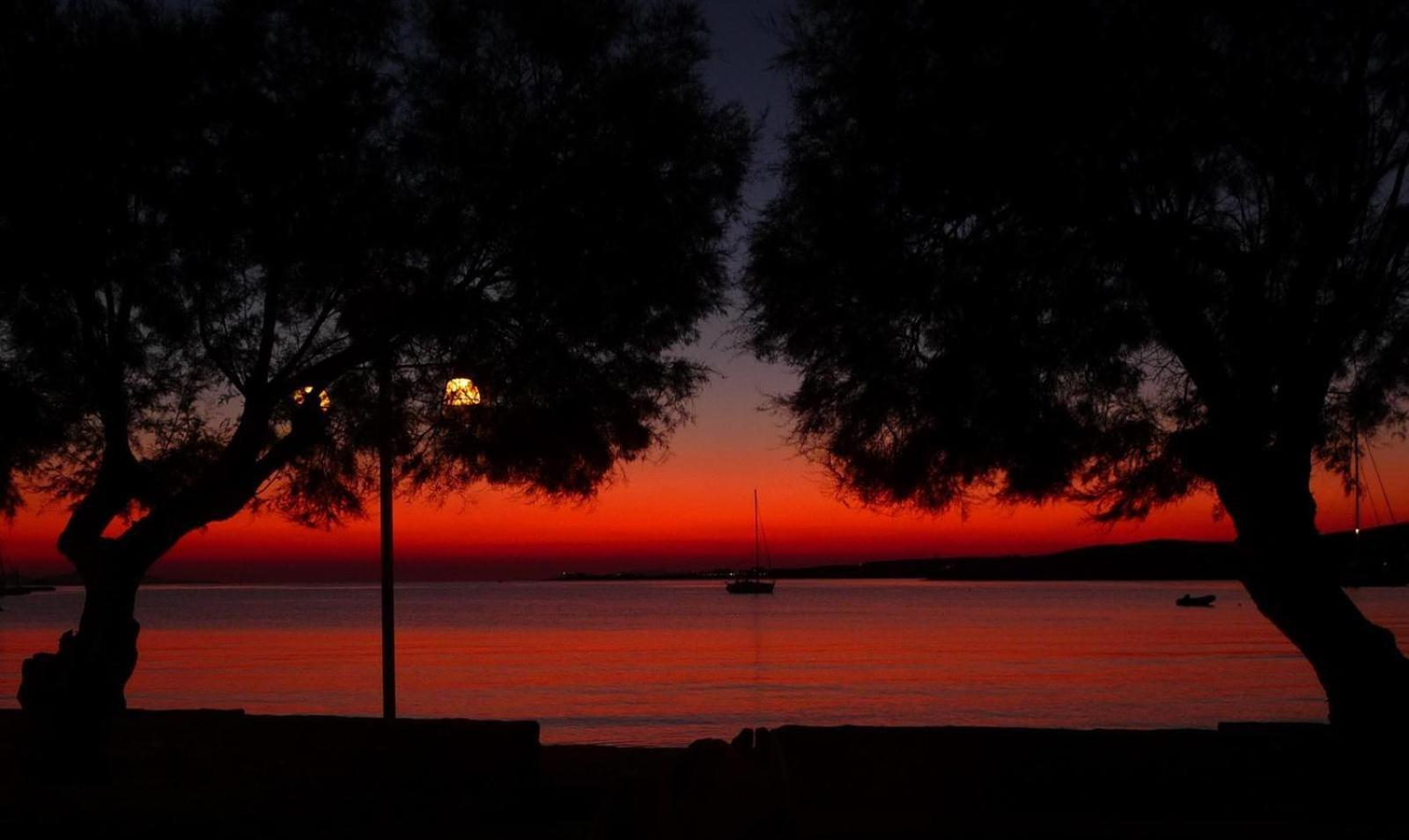 Hotel Paros - Photo 29