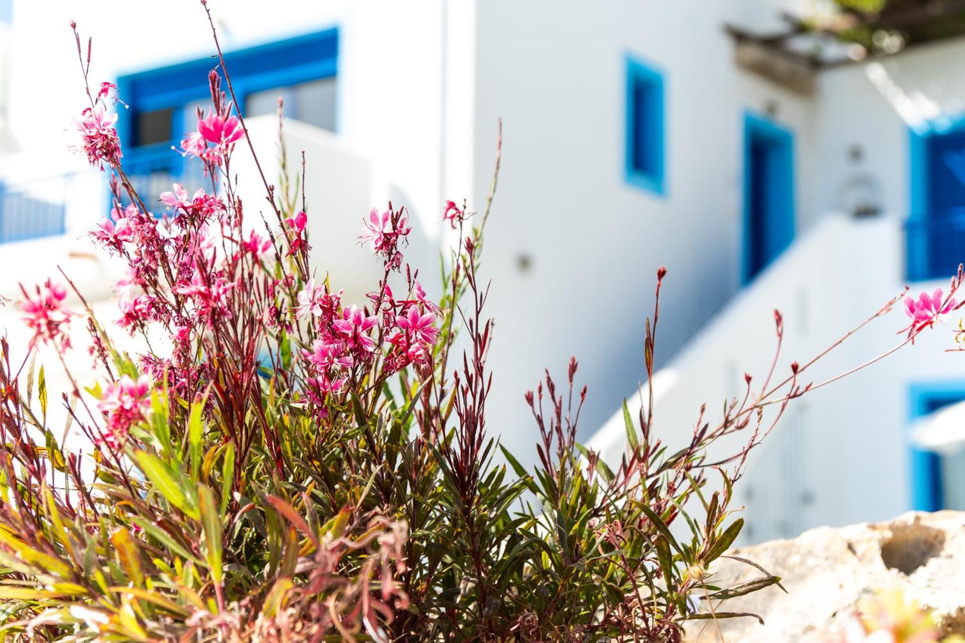 Bella Vista Stegna - Photo 128