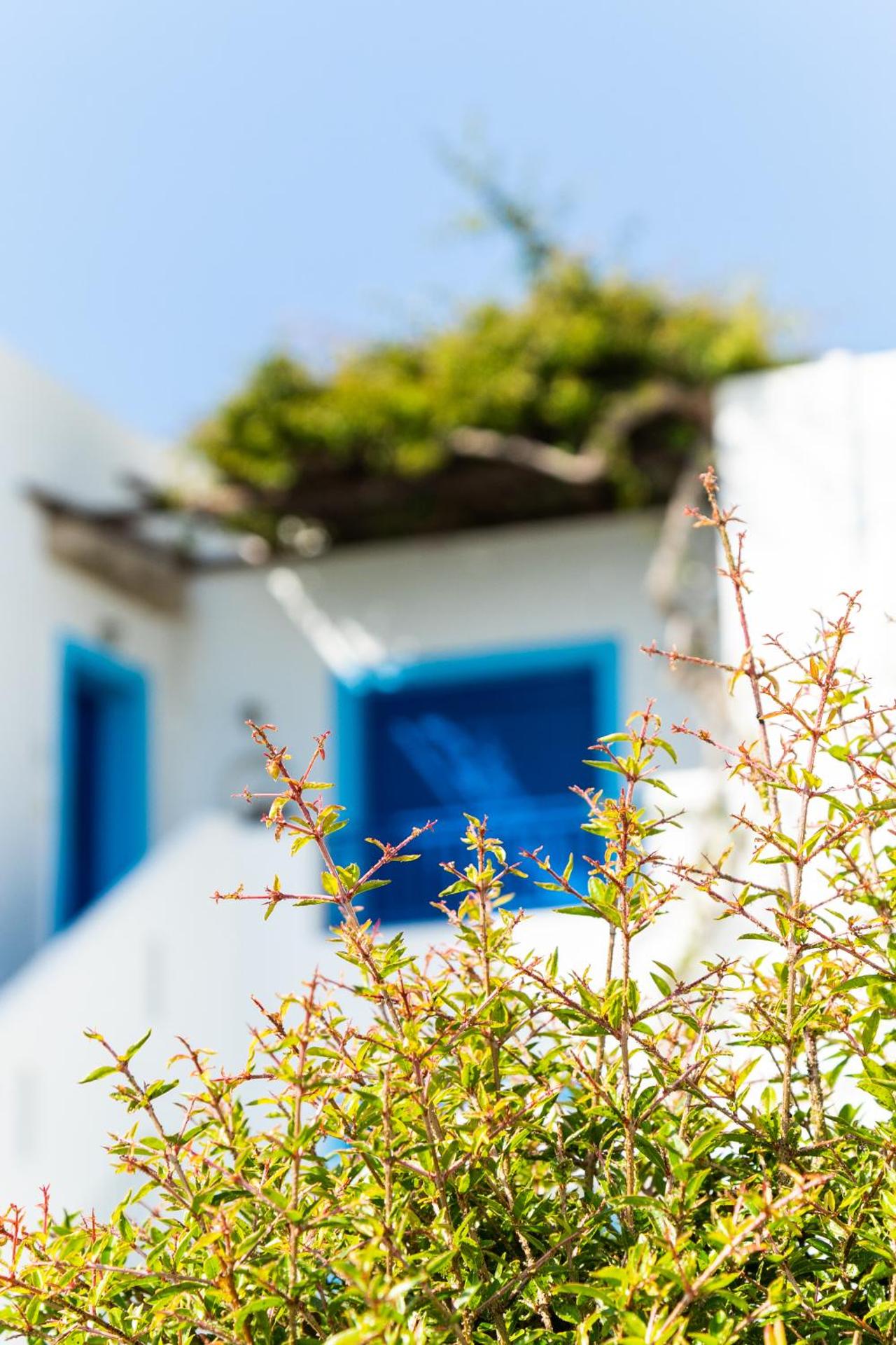 Bella Vista Stegna - Photo 131