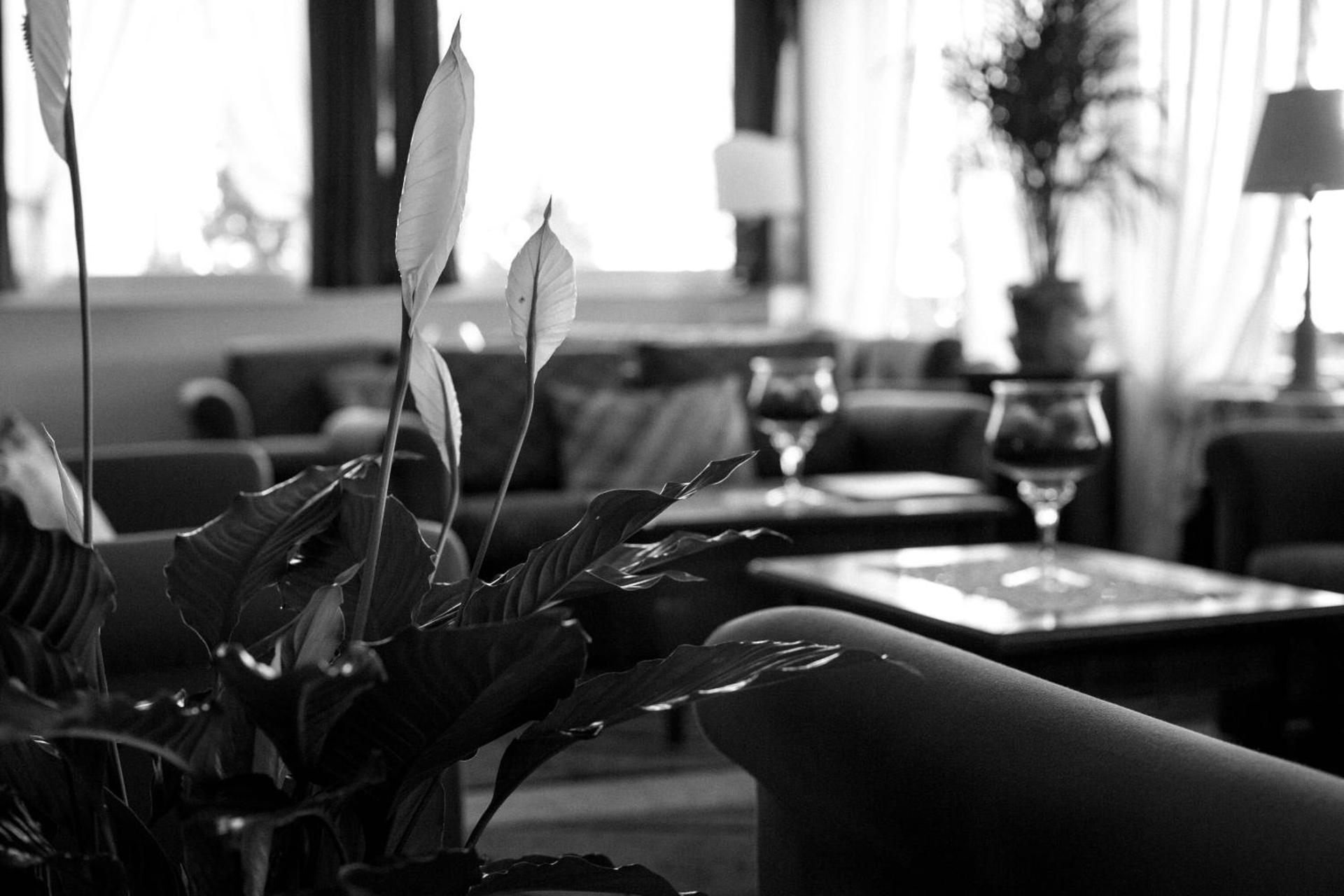 Hotel Ariston - Photo 34