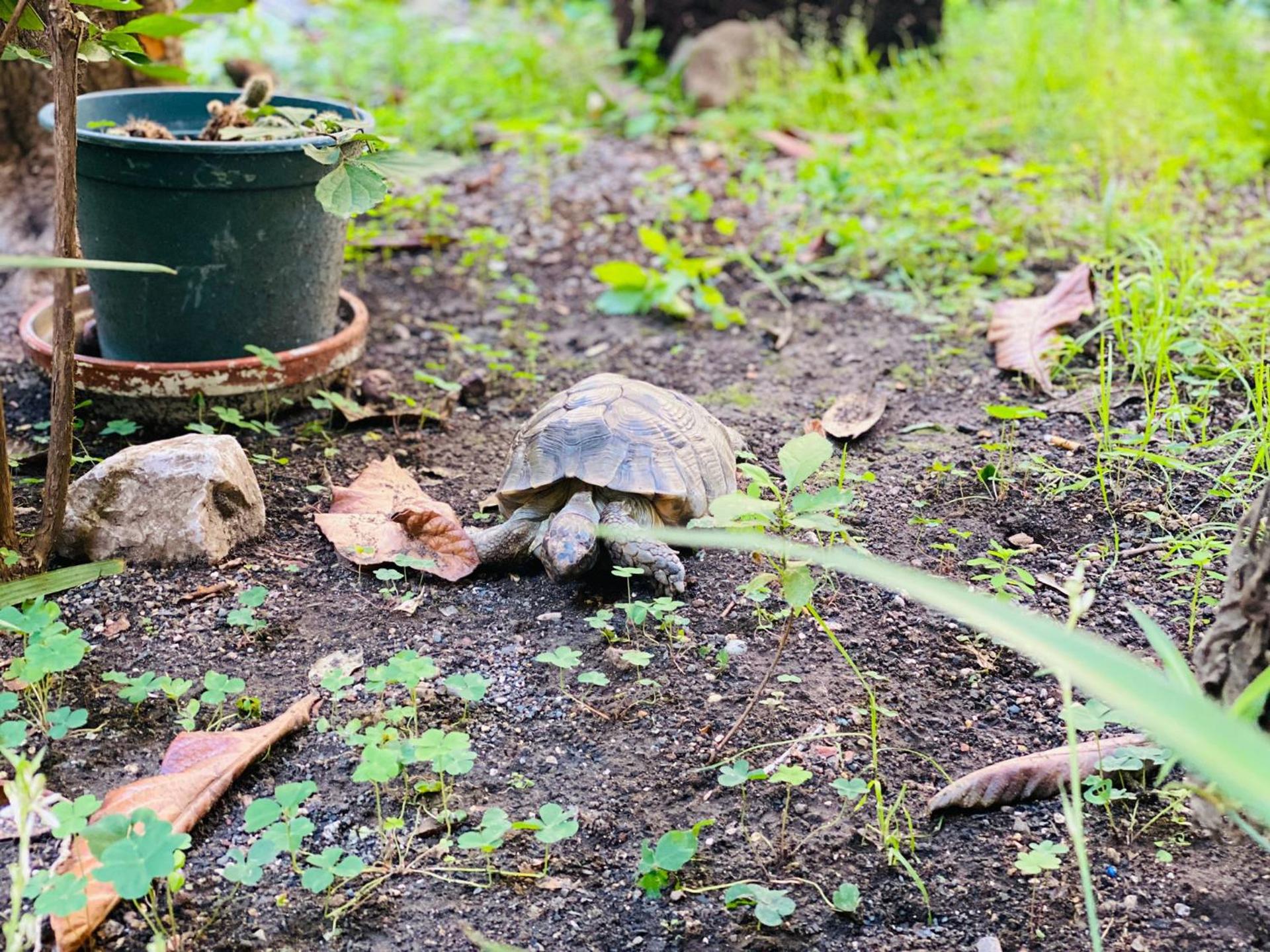 Sweet Dream Roma Termini - Photo 48