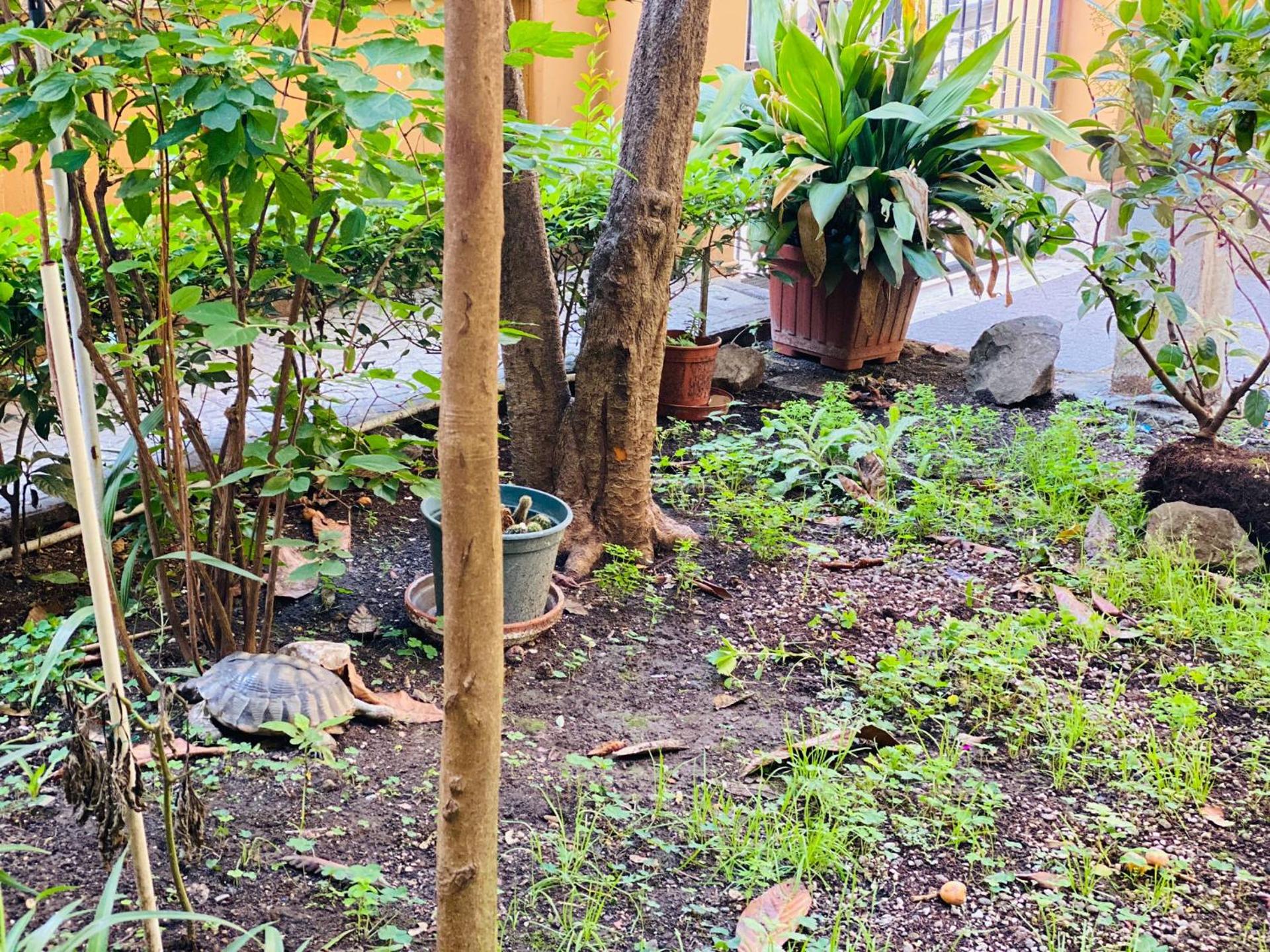 Sweet Dream Roma Termini - Photo 49