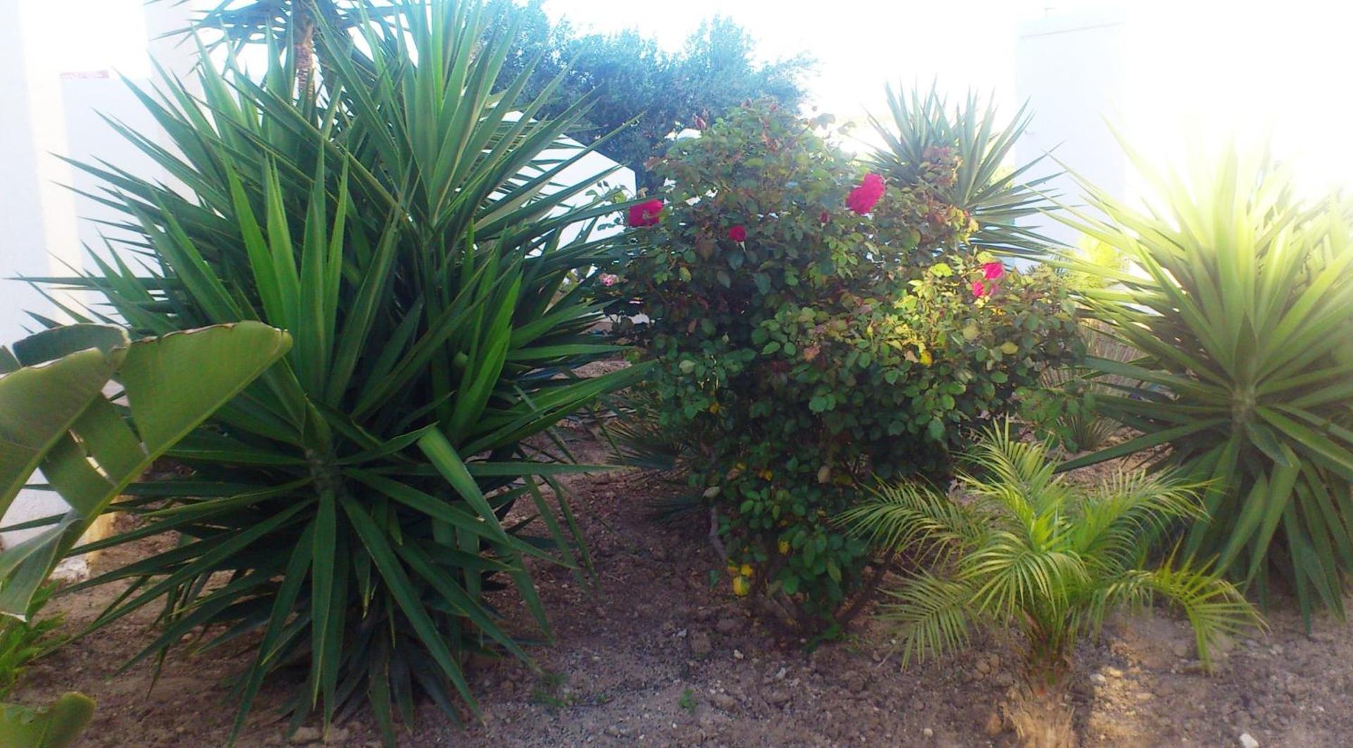 Glaronisia Hotel - Photo 2