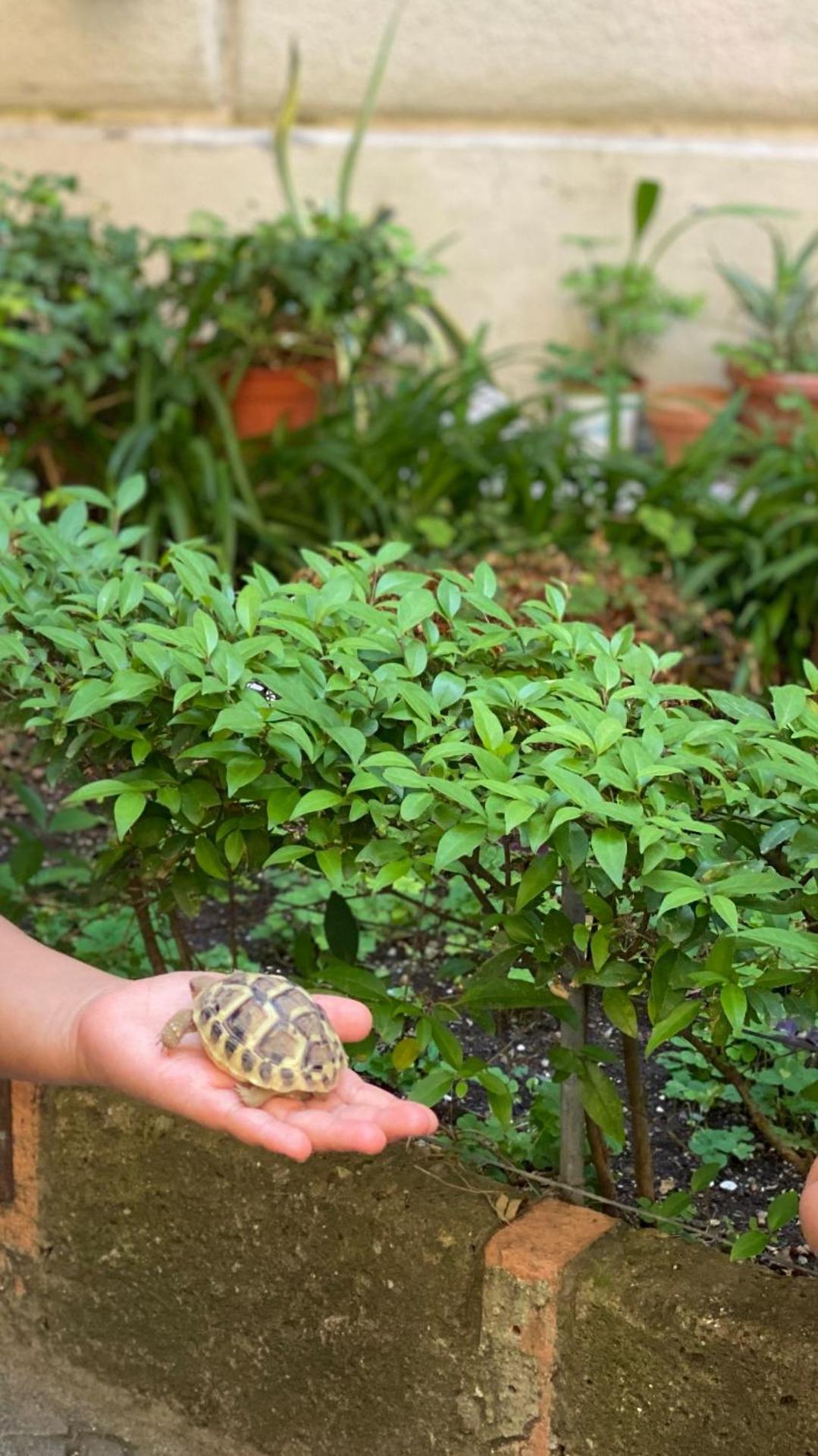 Sweet Dream Roma Termini - Photo 51