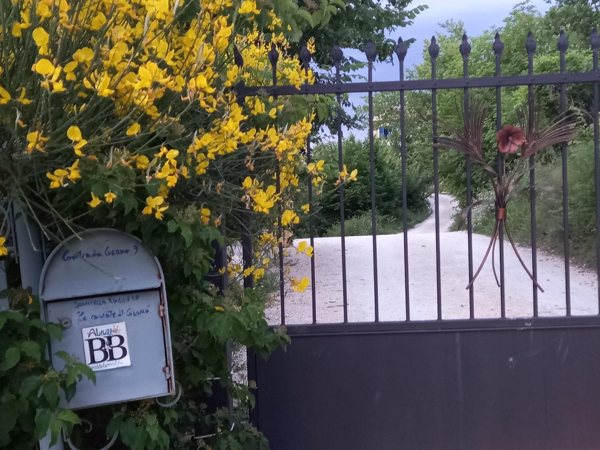 La casa dalle finestre blu - Photo 96